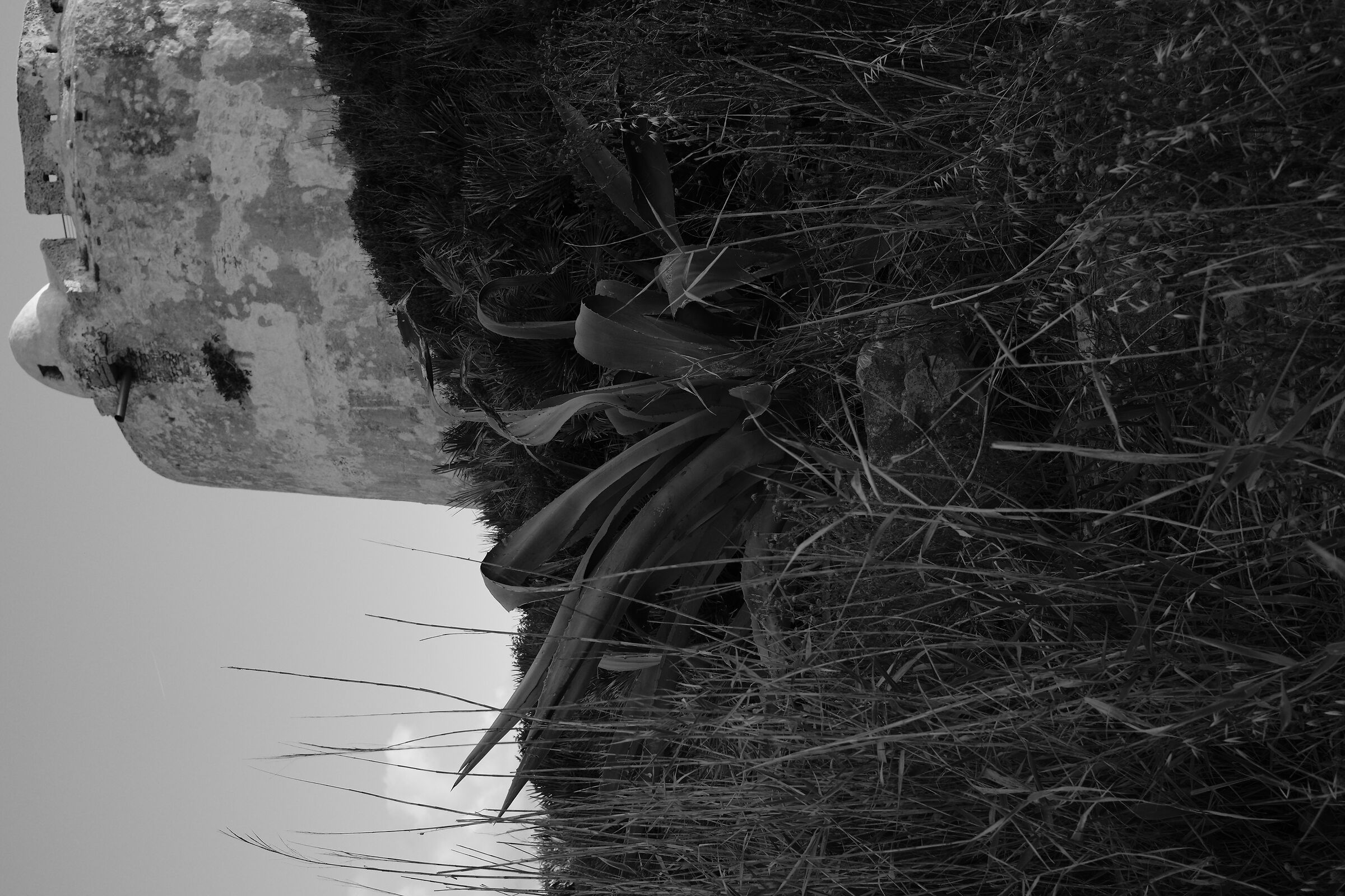 Torre del Port del Comte