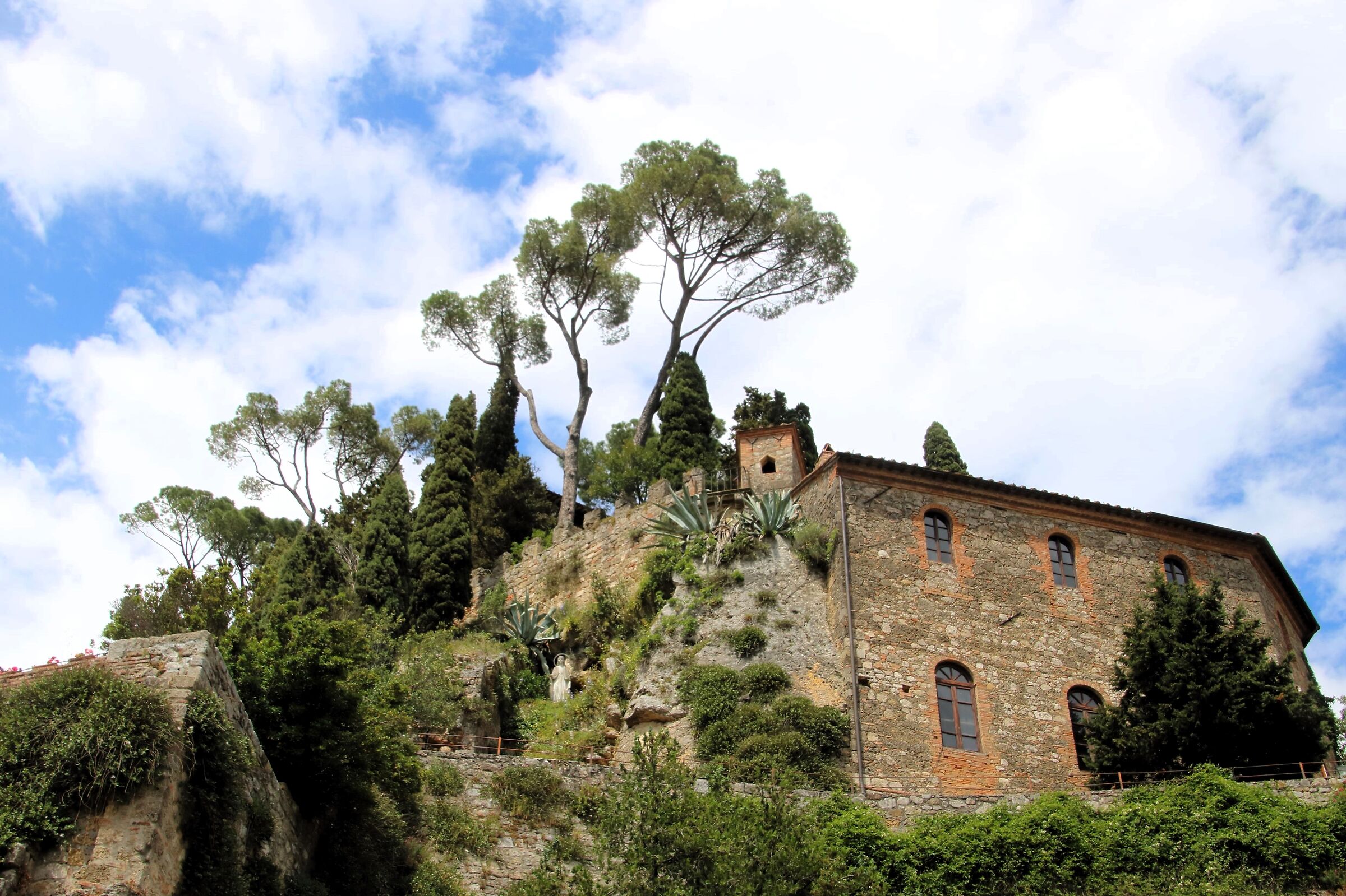 Il palazzo e l'albero
