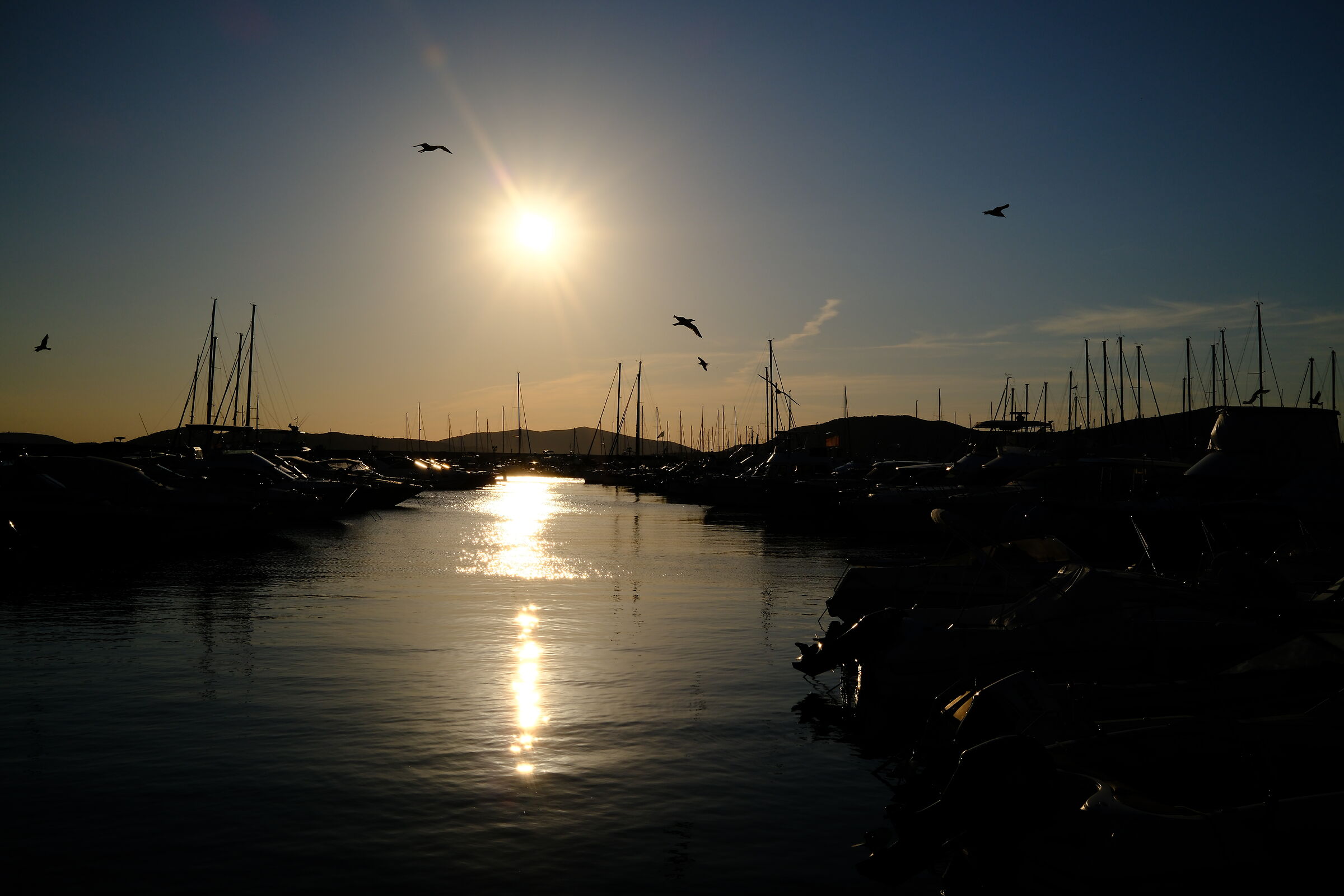 il porto, il tramonto , i gabbiani