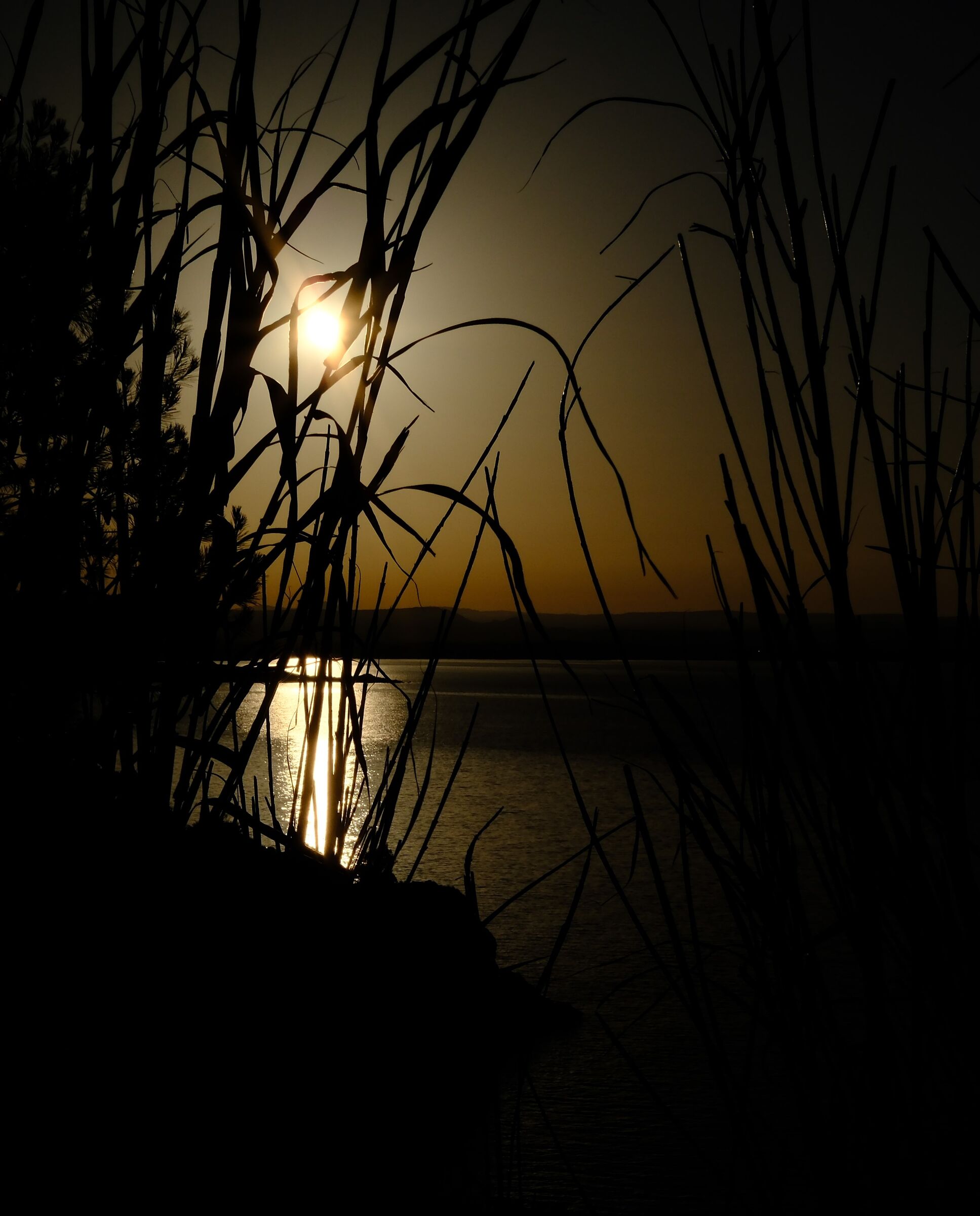 Sunset backlit with CPL