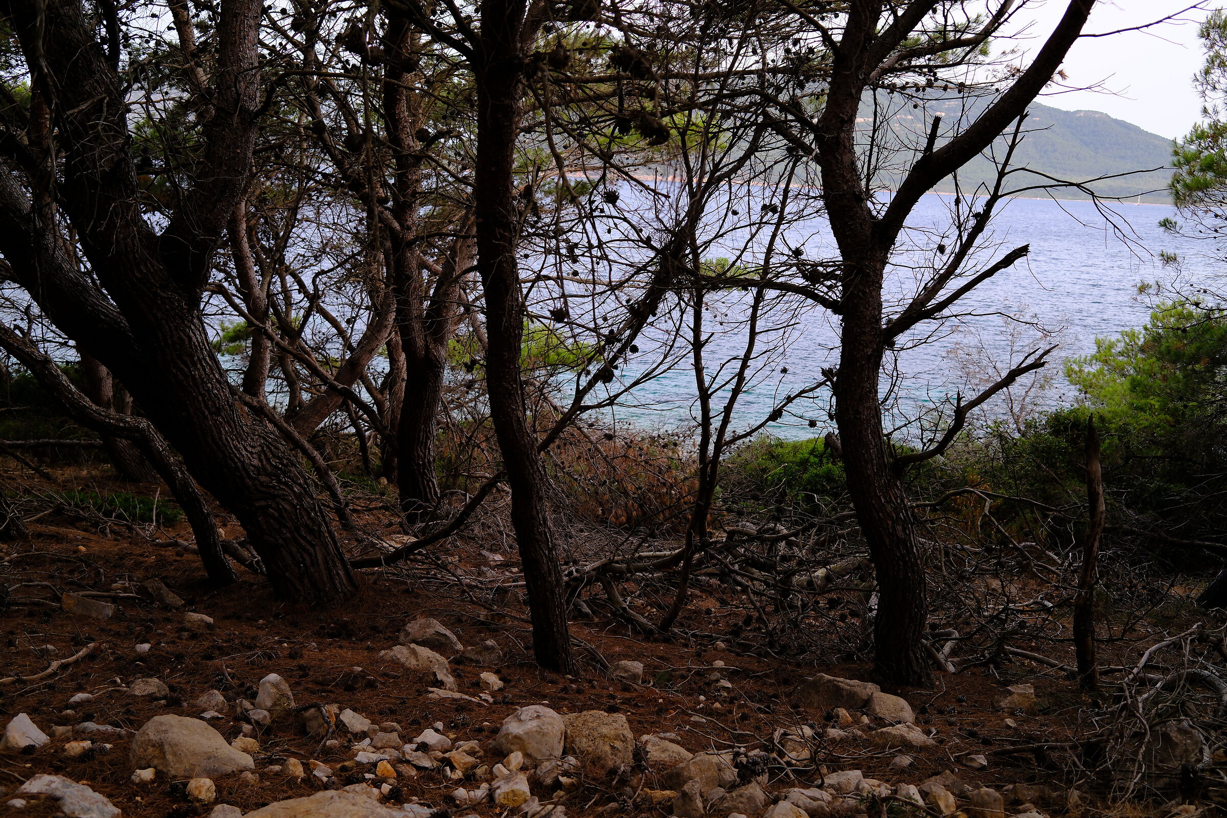 The path to Cala La Bramassa
