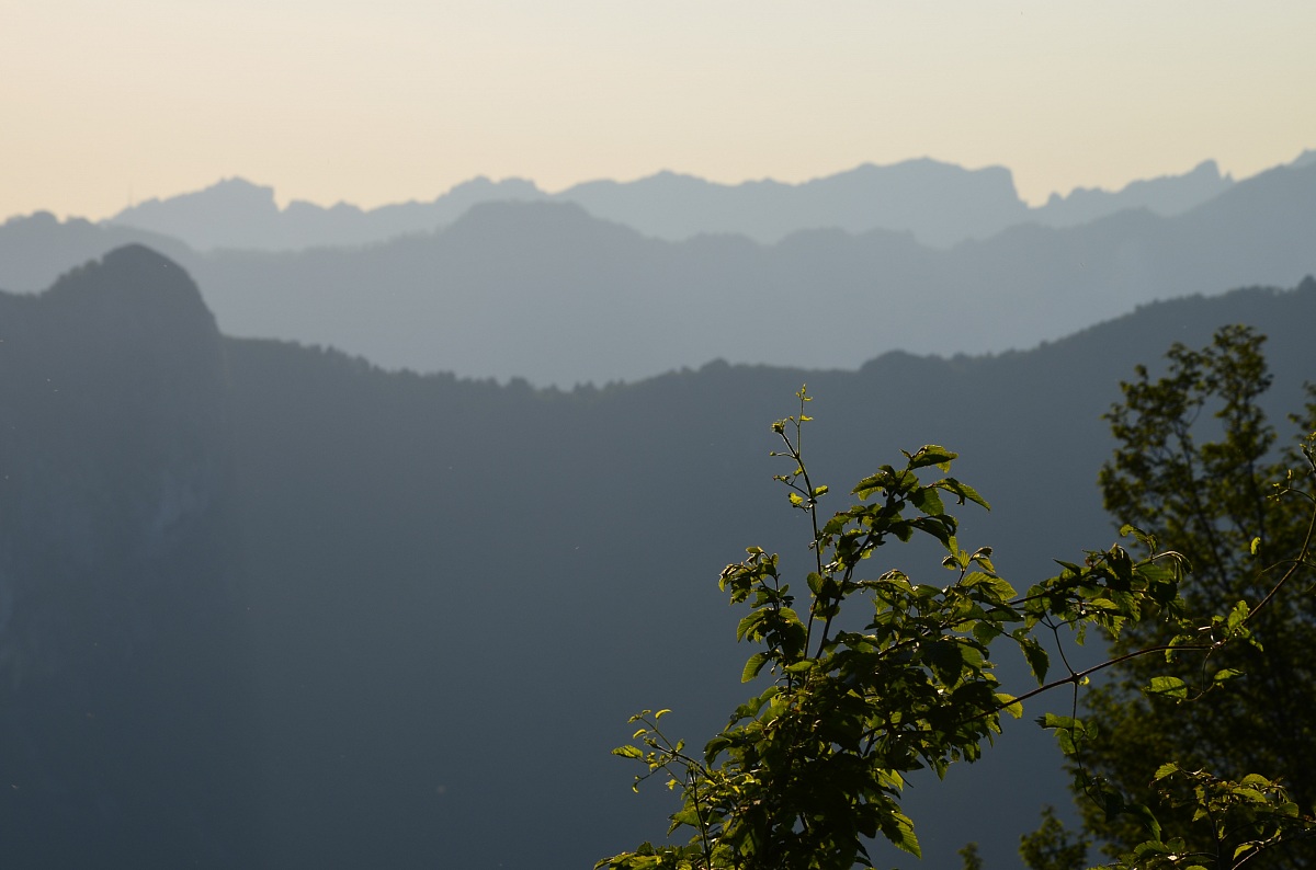 Backlit in the Apuan