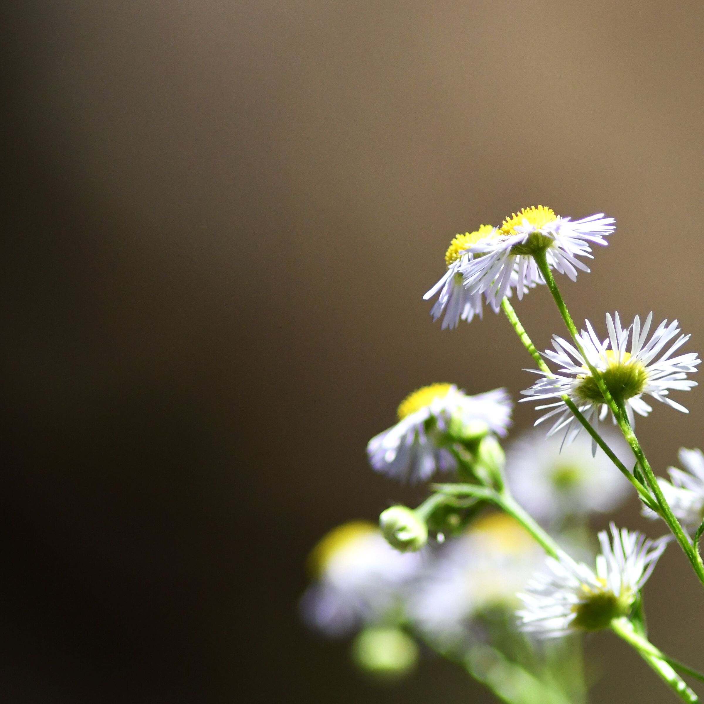 ....world needs simple things