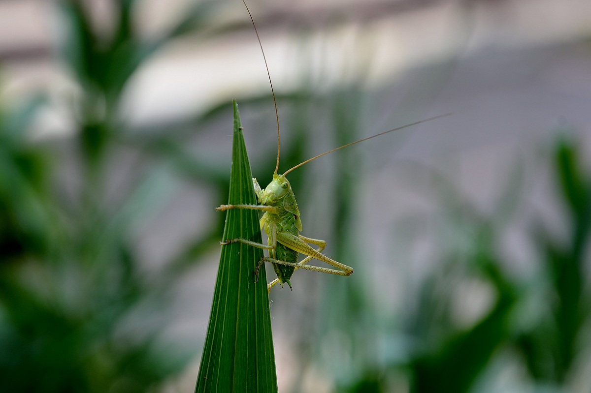 E adesso? mi fai una fotto.