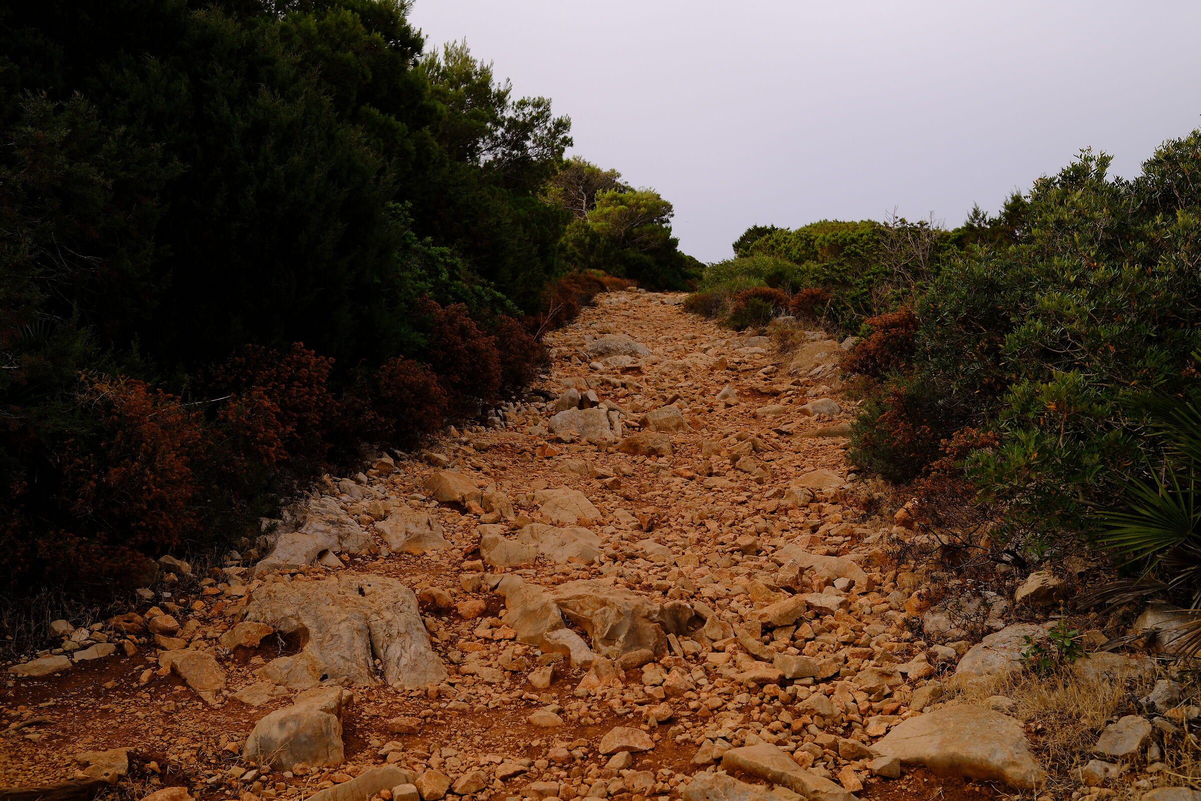Uphill towards Punta Giglio