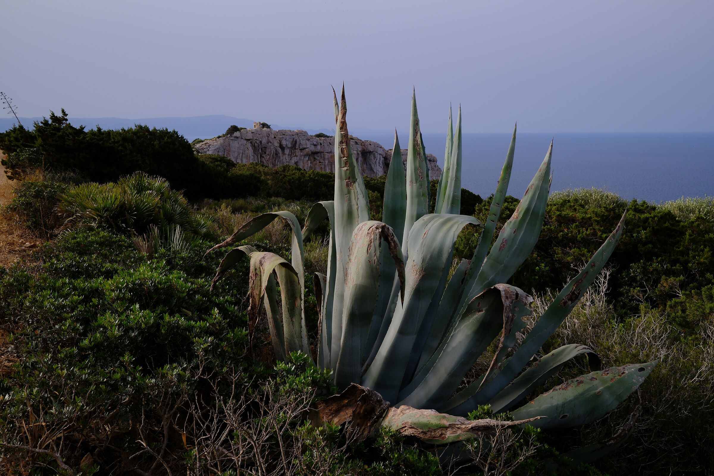 The tips of Punta Giglio