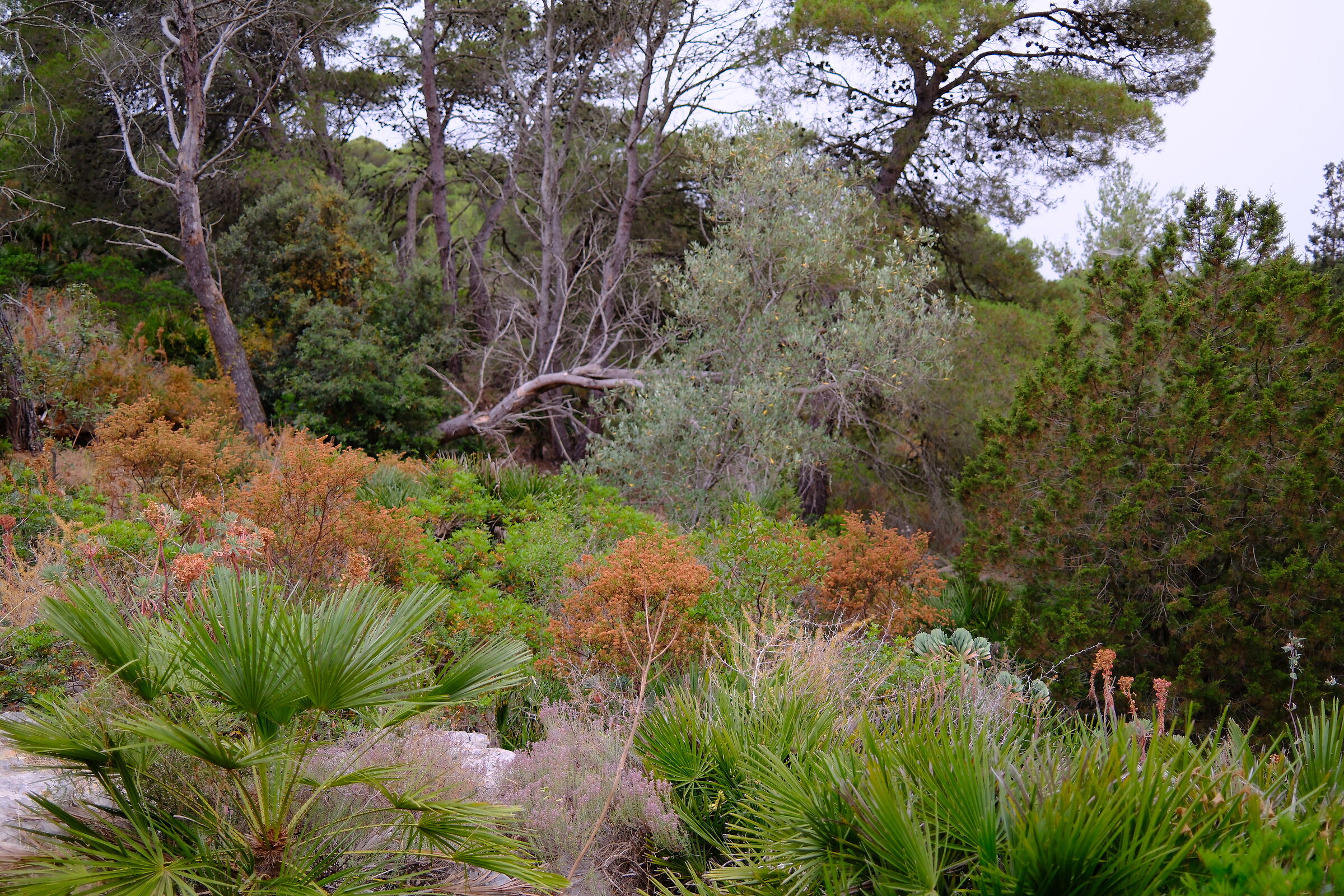 Towards Monte Rudedu