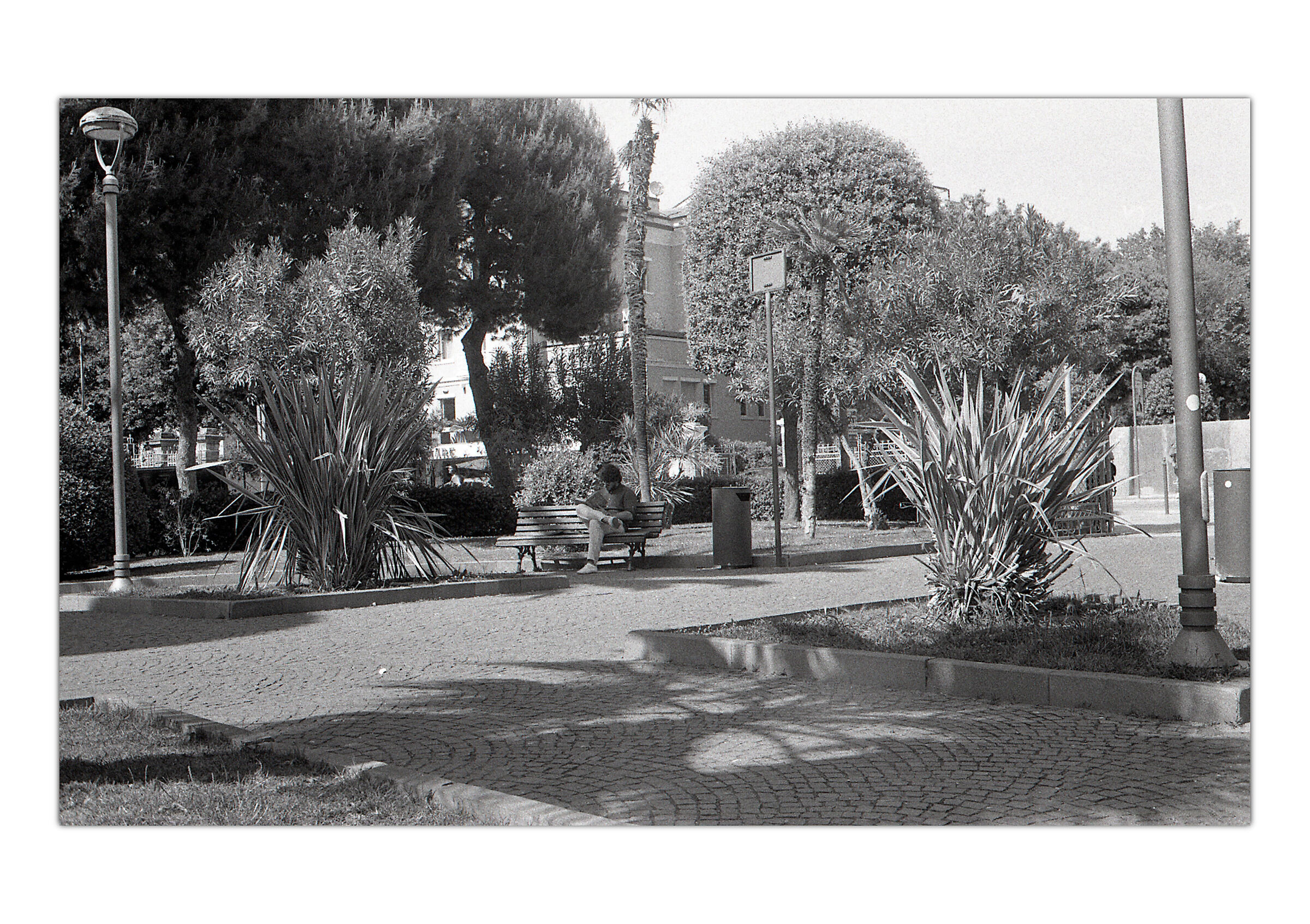 Walking with my Rollei35