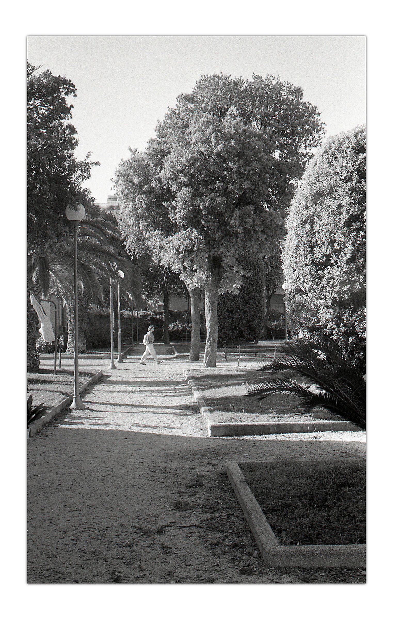 Walking with my Rollei35