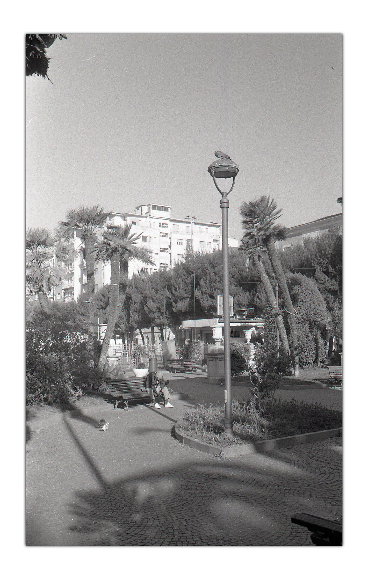 Walking with my Rollei35