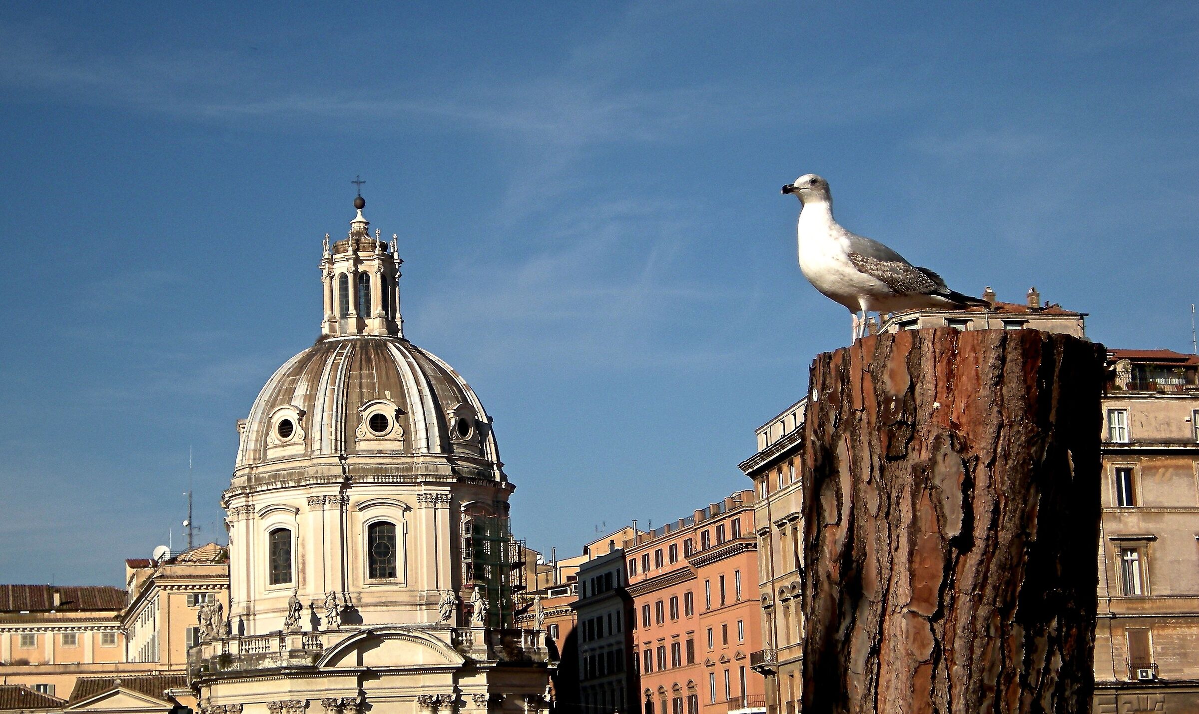 The Church of the SS.mo Name of Mary at Trajan's Forum, Rome