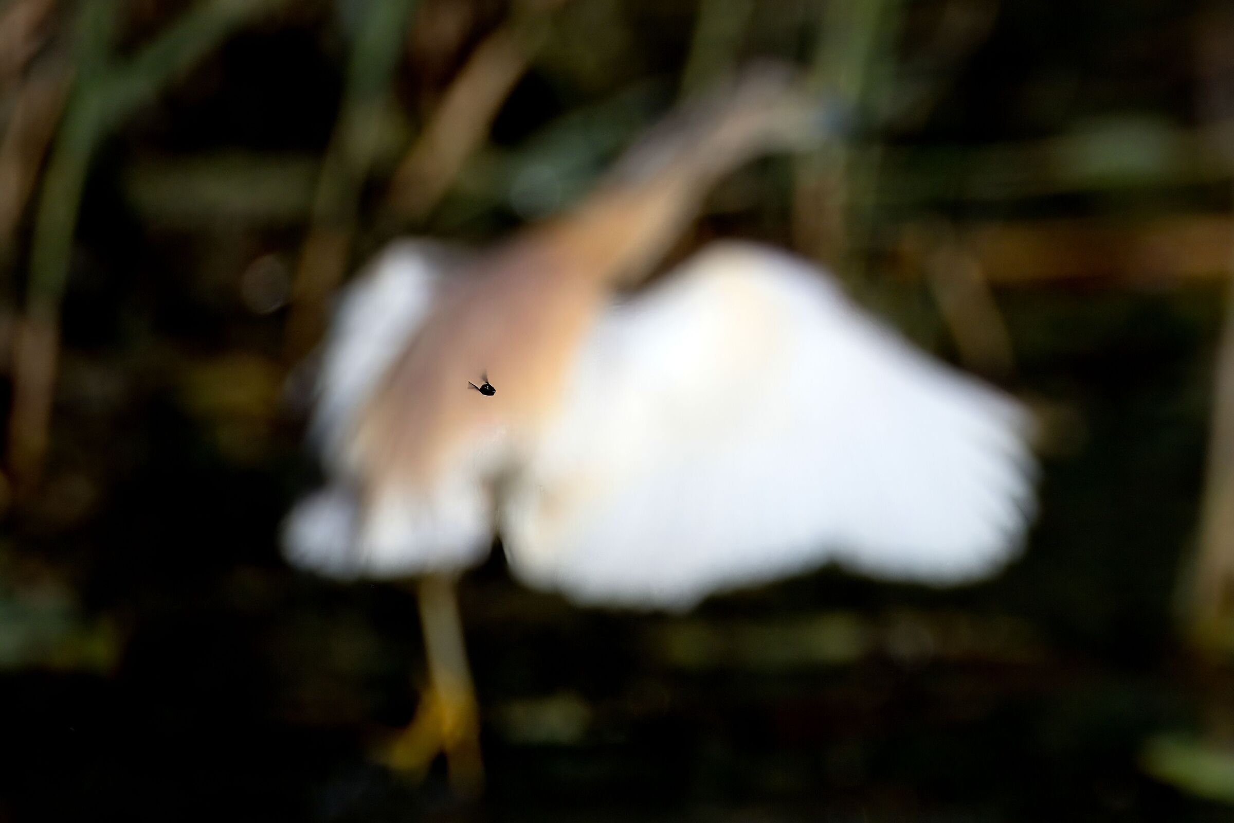 "ed io tra di voi..."