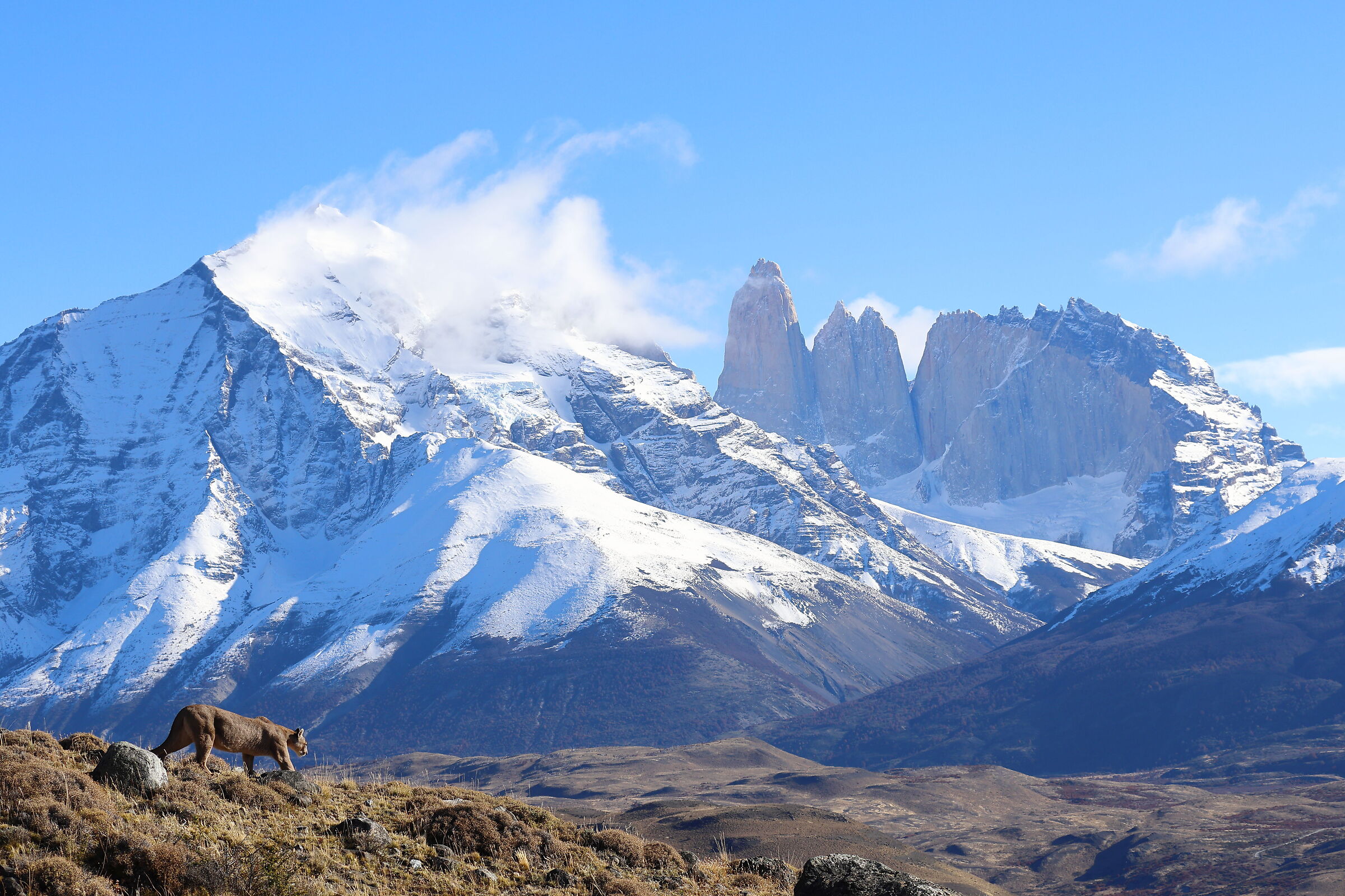 Petaca e Torres del Paine