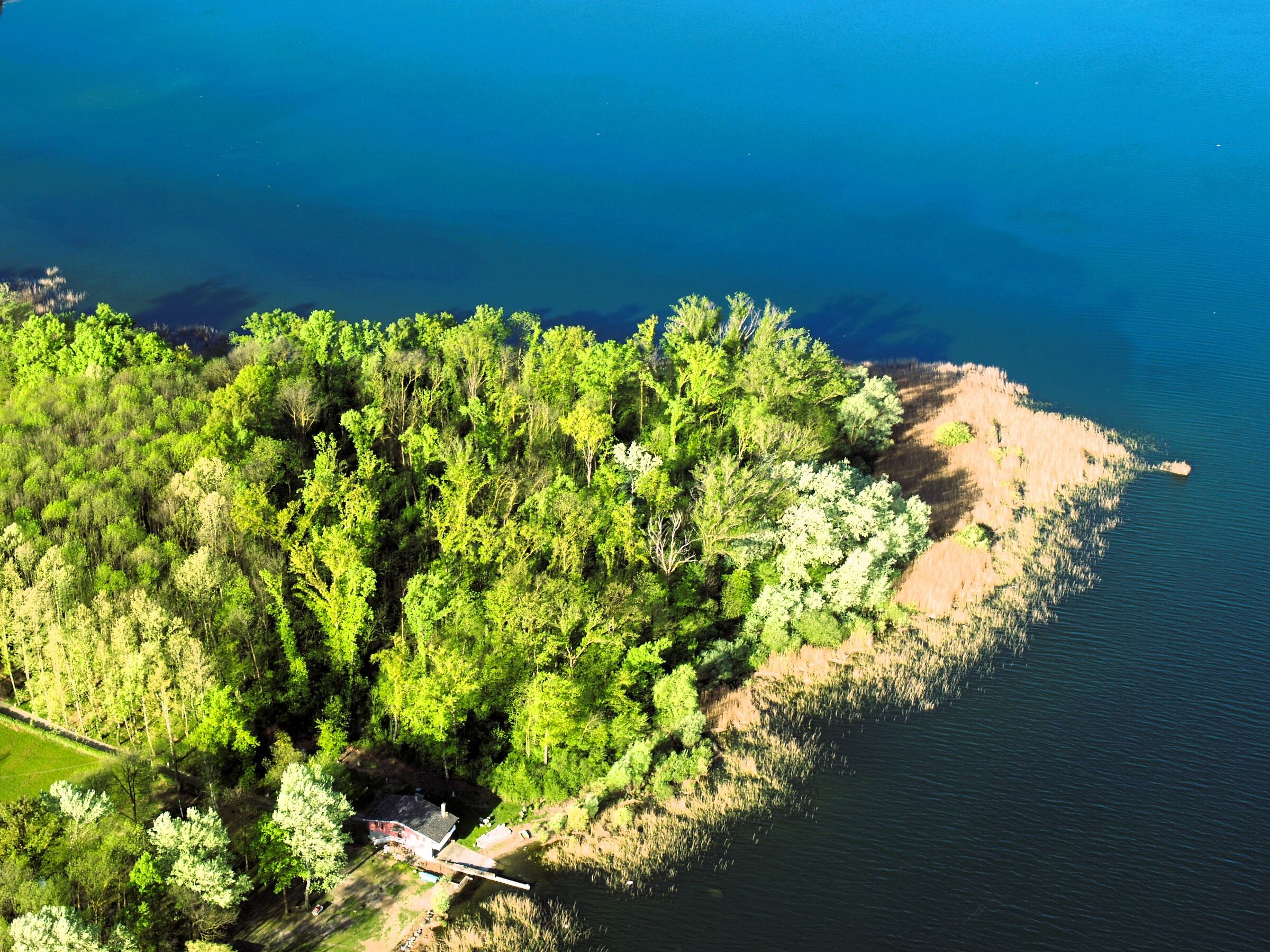 Shores of Lake Varese