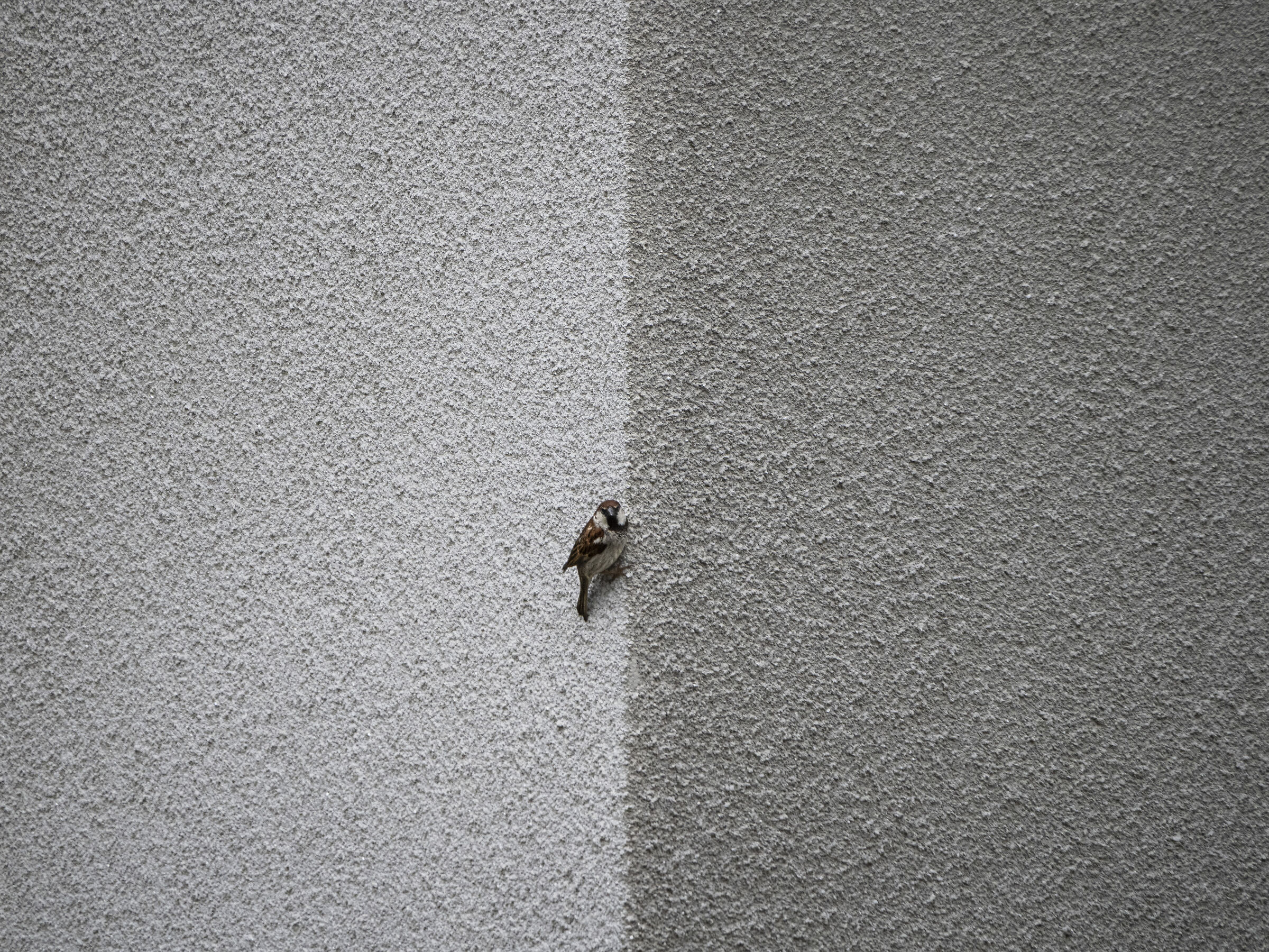 Which side are you on?