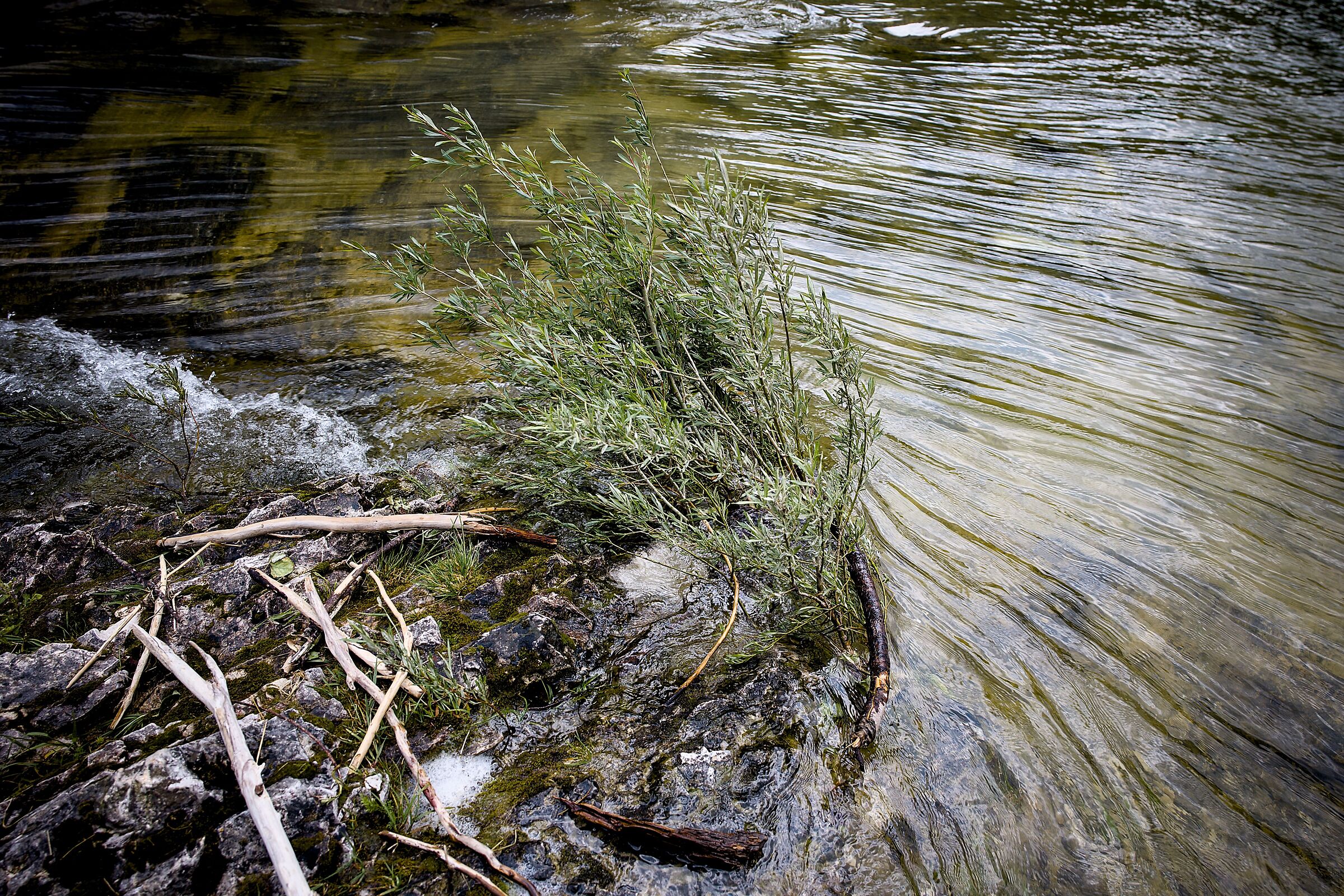 Test nikon zf + tamron 20-40 2.8 - lago del Predil