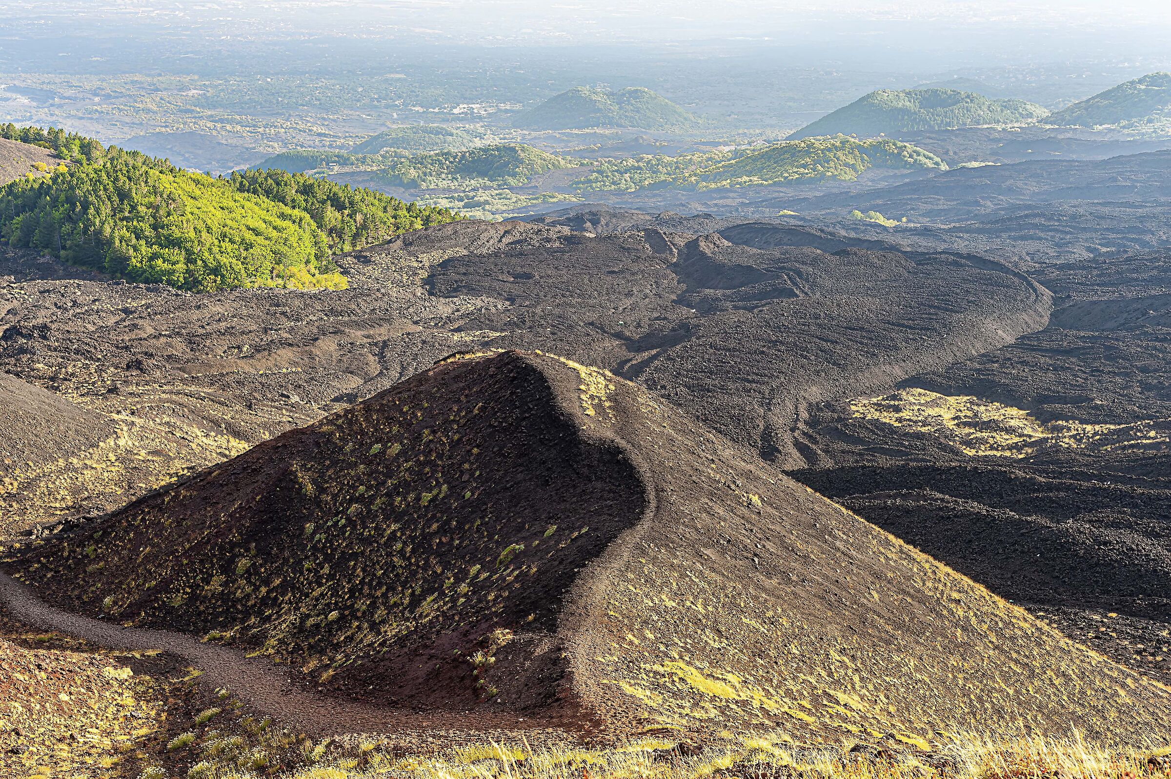 parco dell'Etna 25