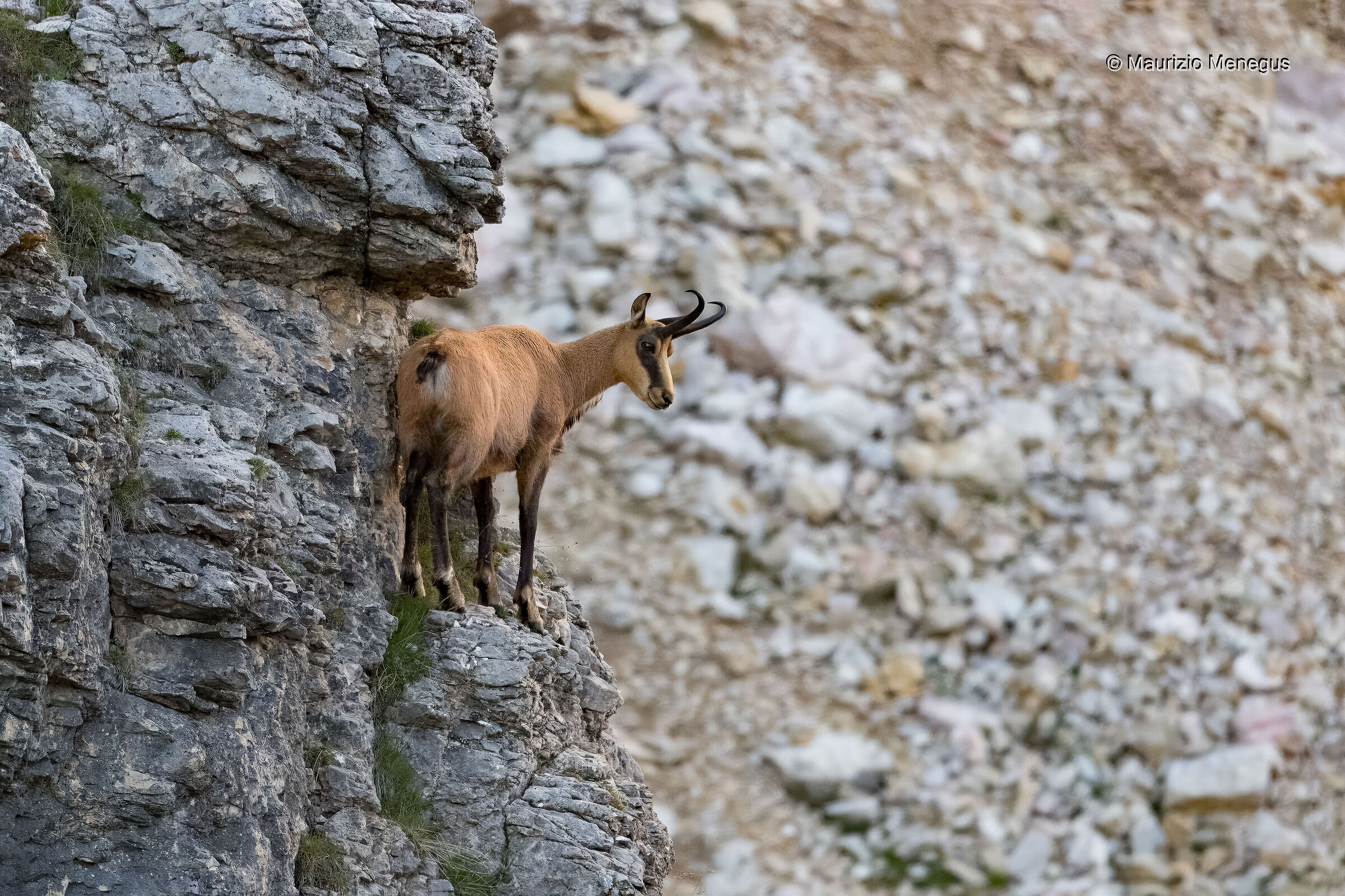 Nel suo ambiente....