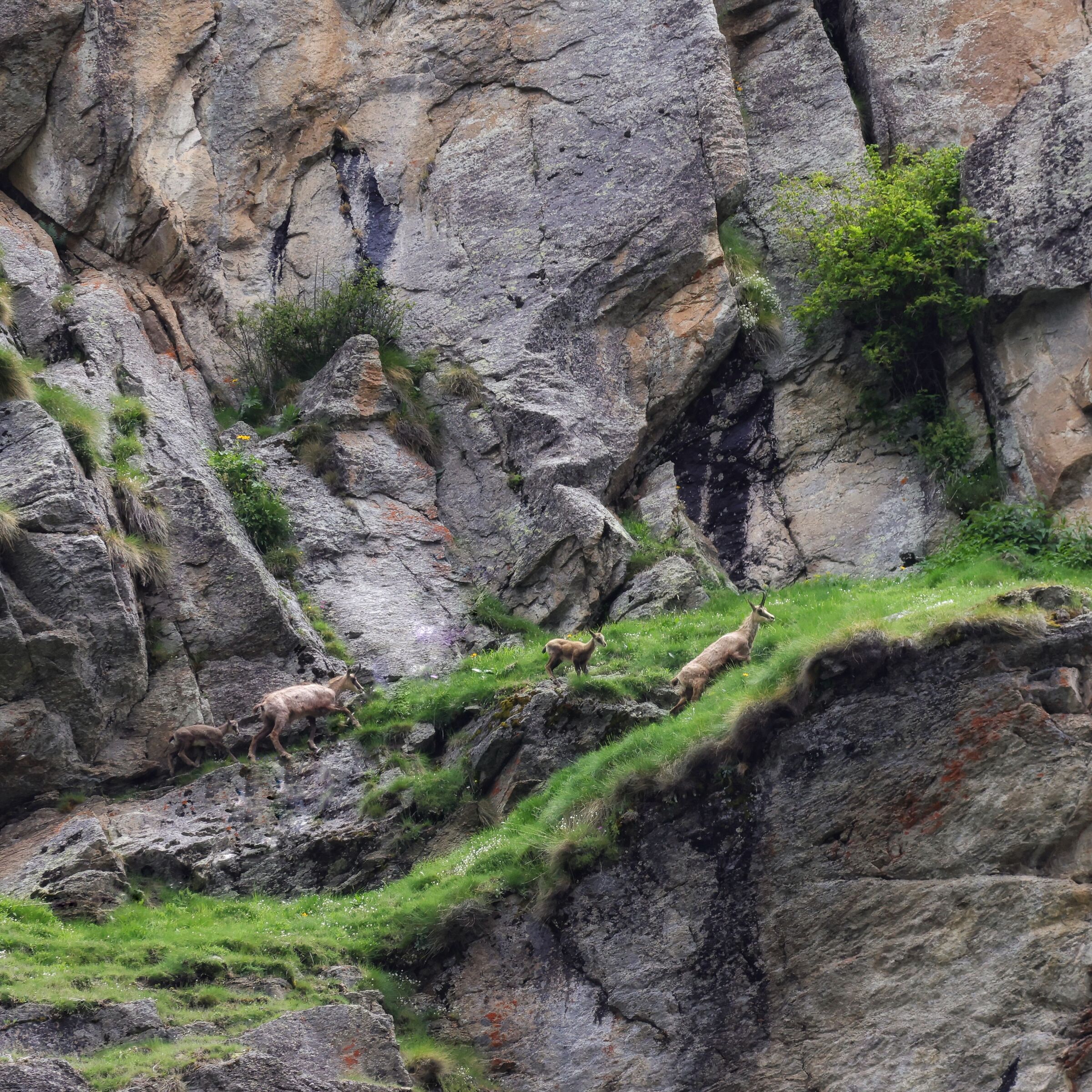 In armonia con la natura