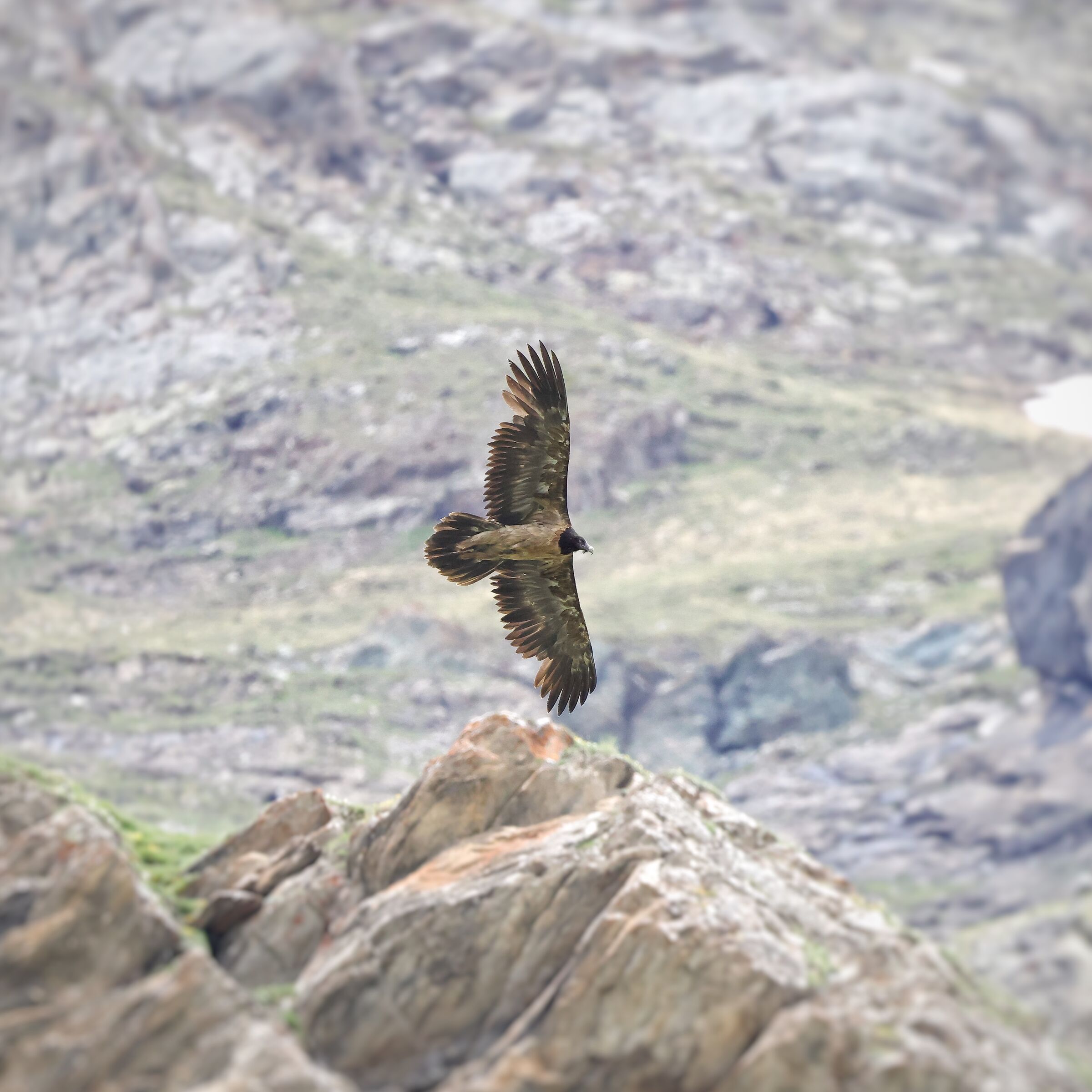 In armonia con la natura