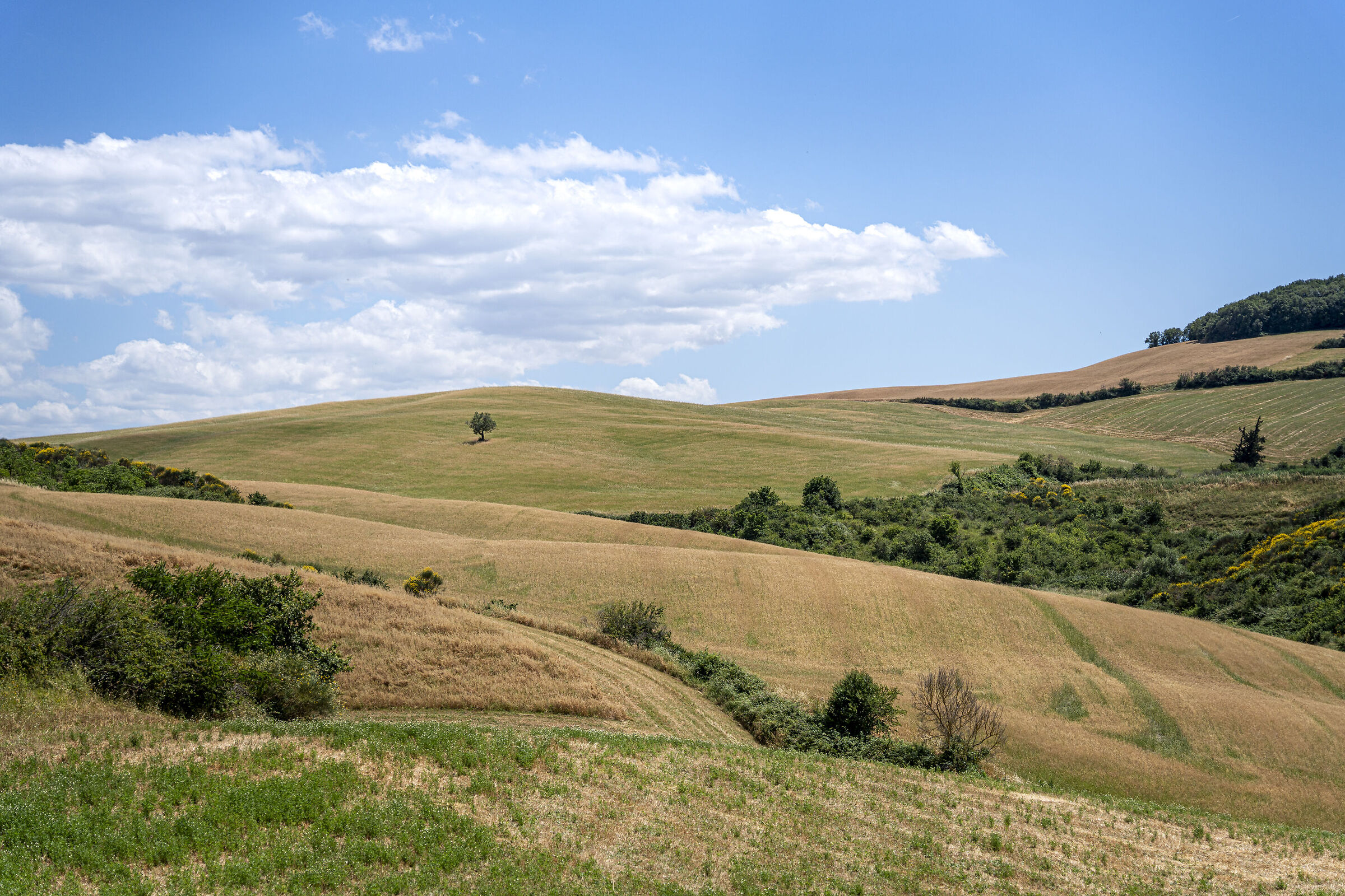 Colline Toscane