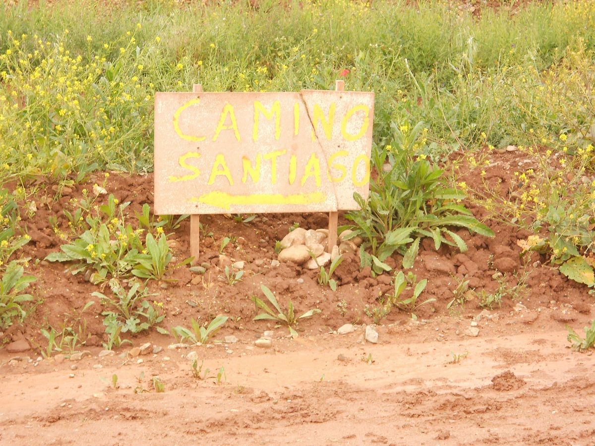 Tante frecce per un solo cammino....