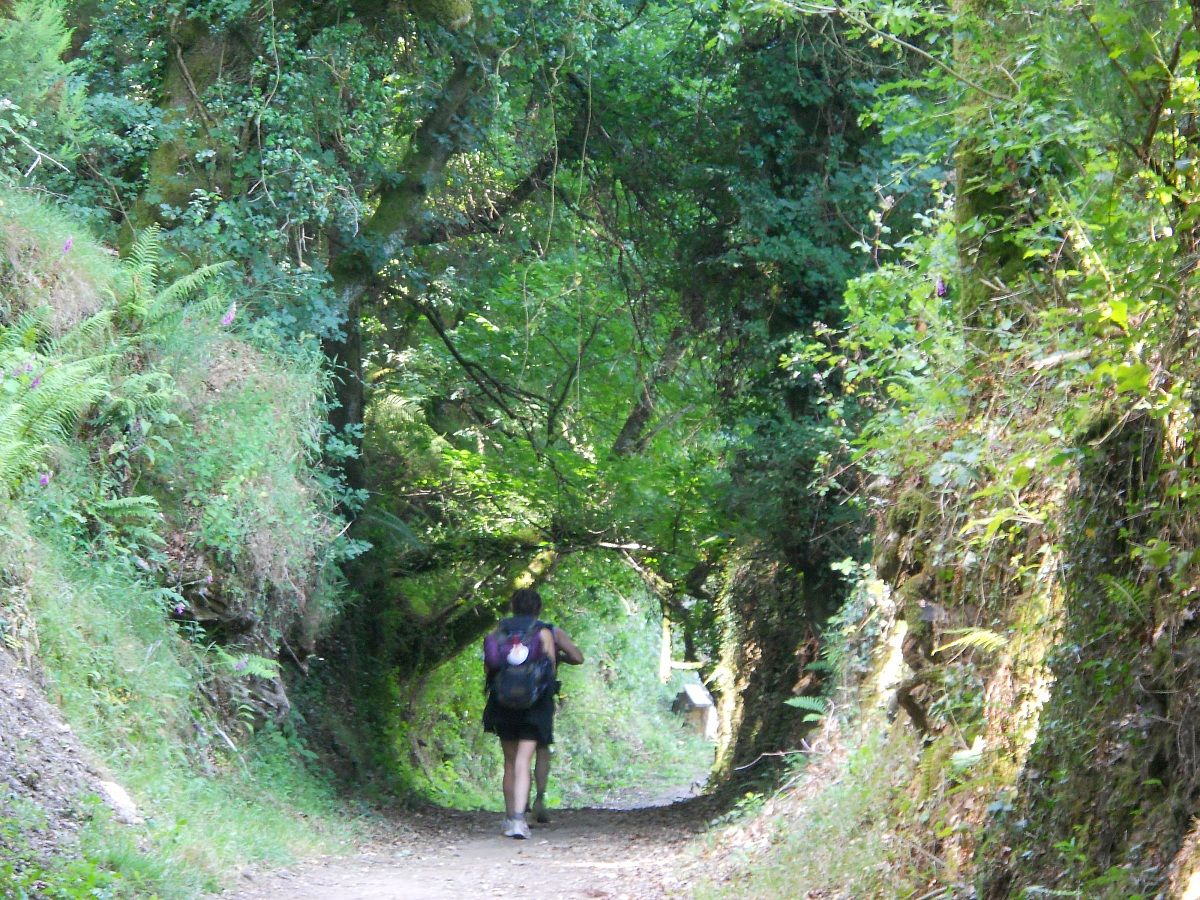 Solo el de arriba lo sabe.....