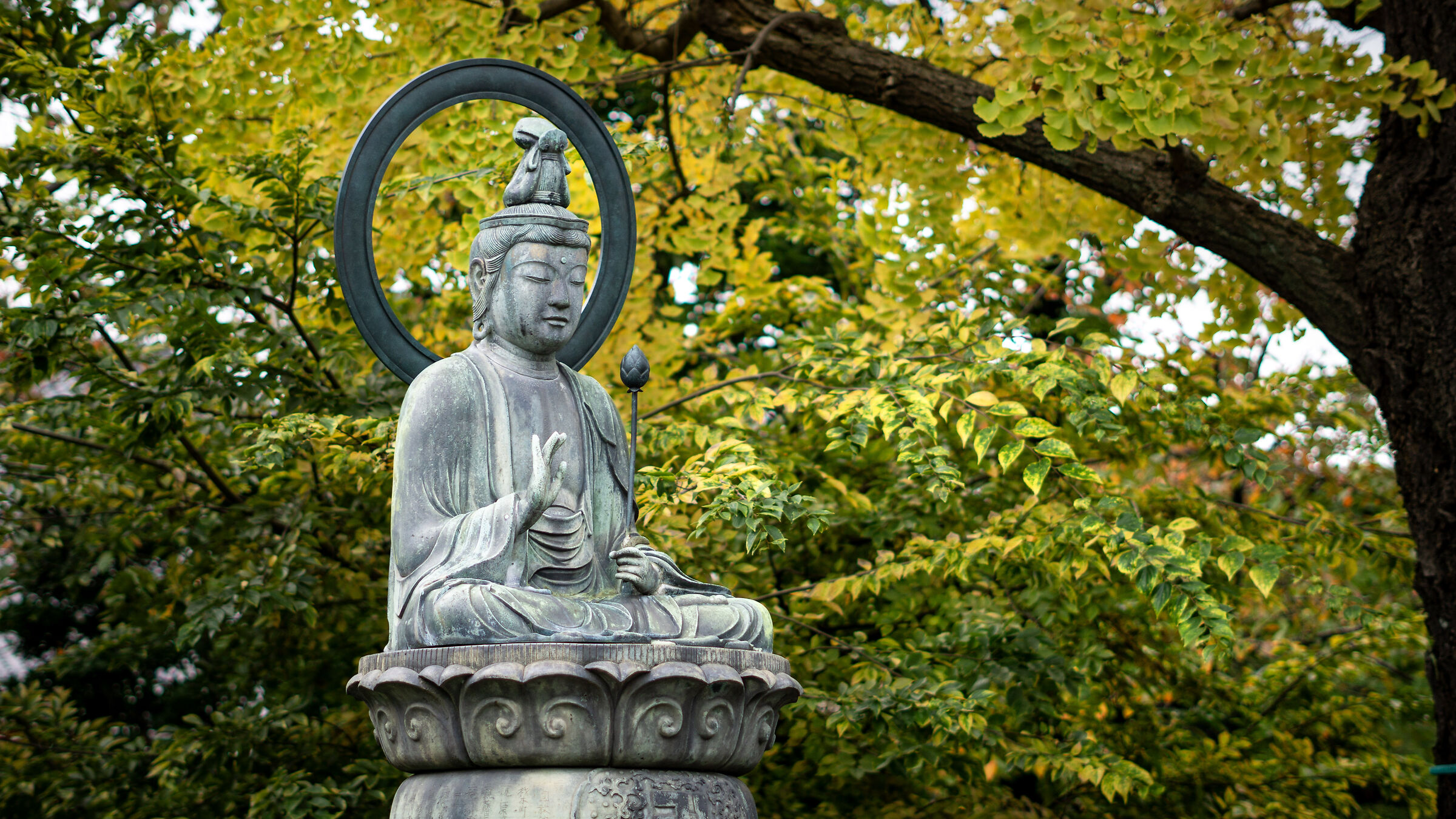 Buddha