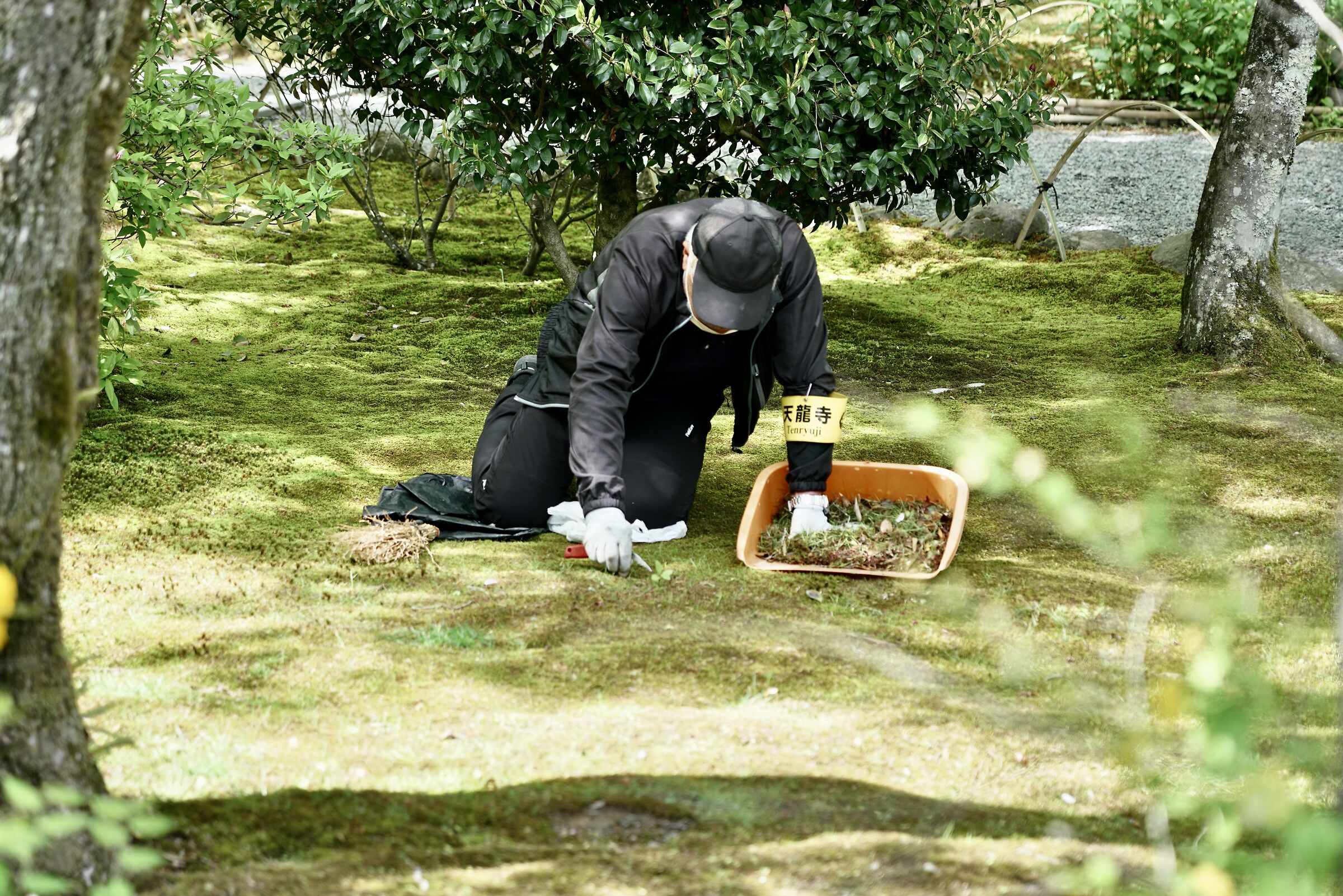 JAPAN
