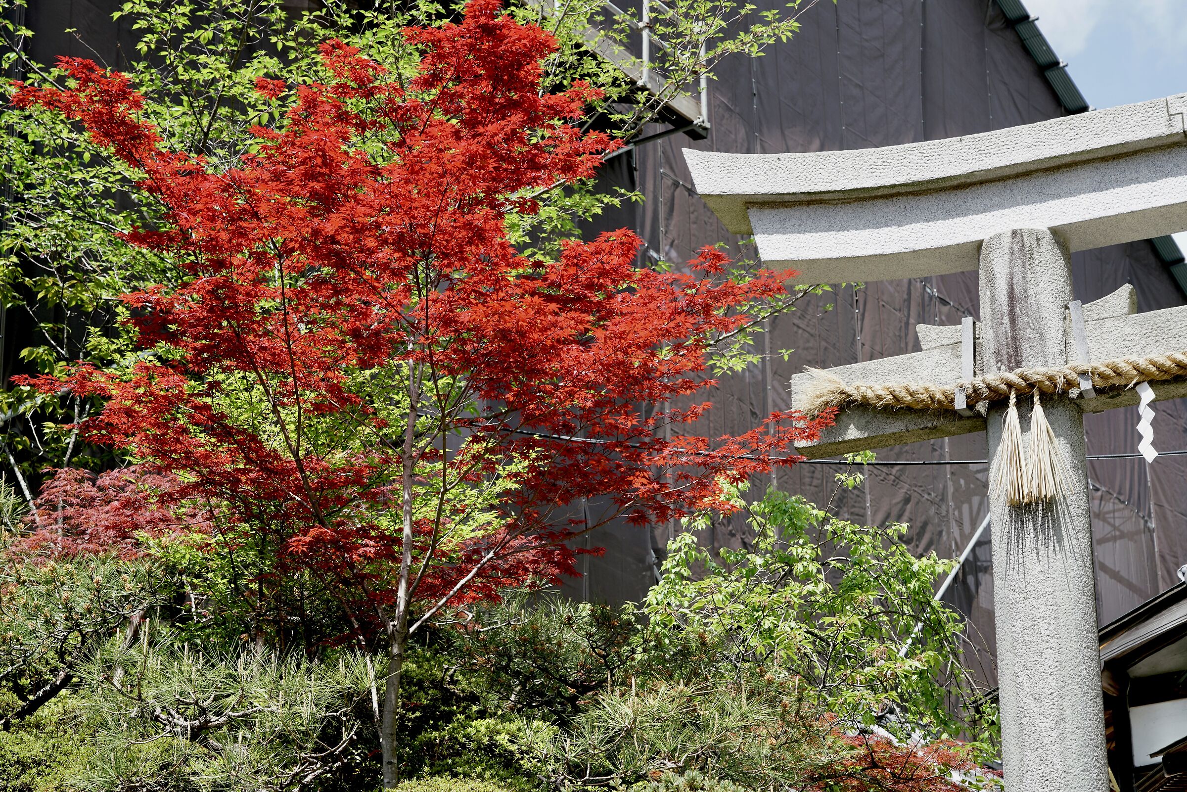 JAPAN