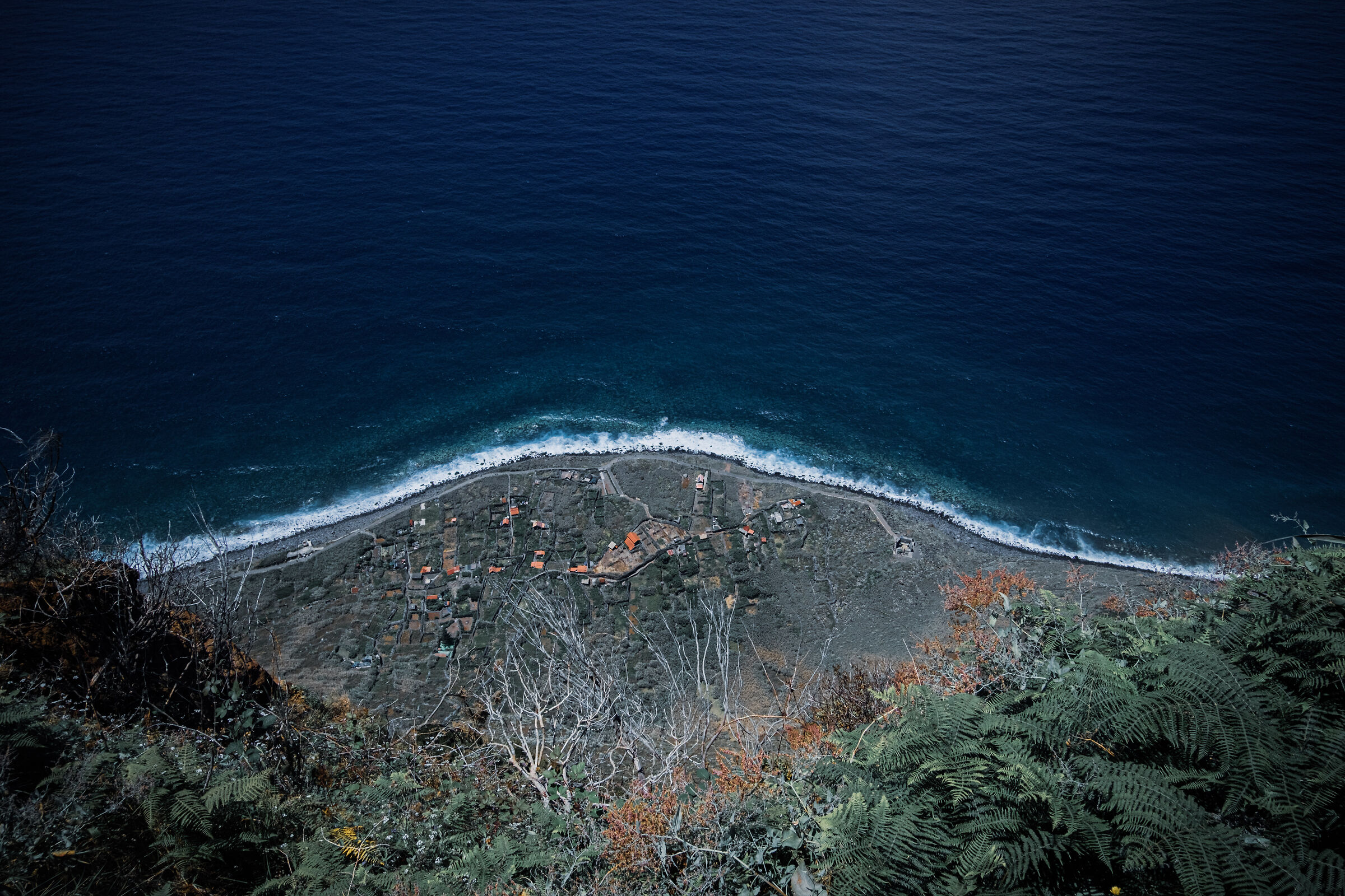 Birds eye coast