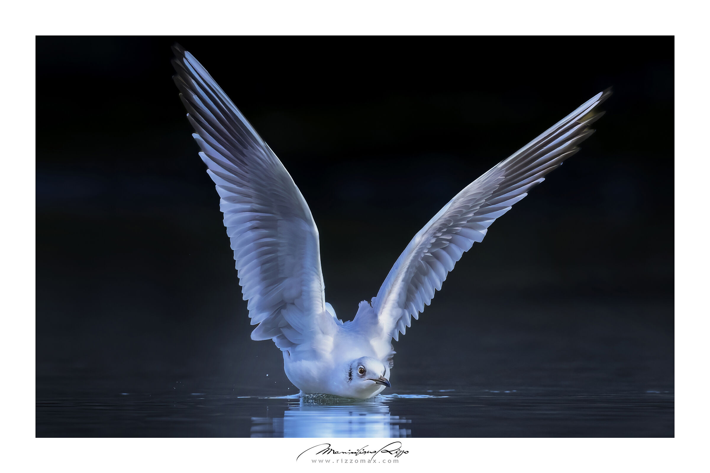 Planata sull'acqua - no cut