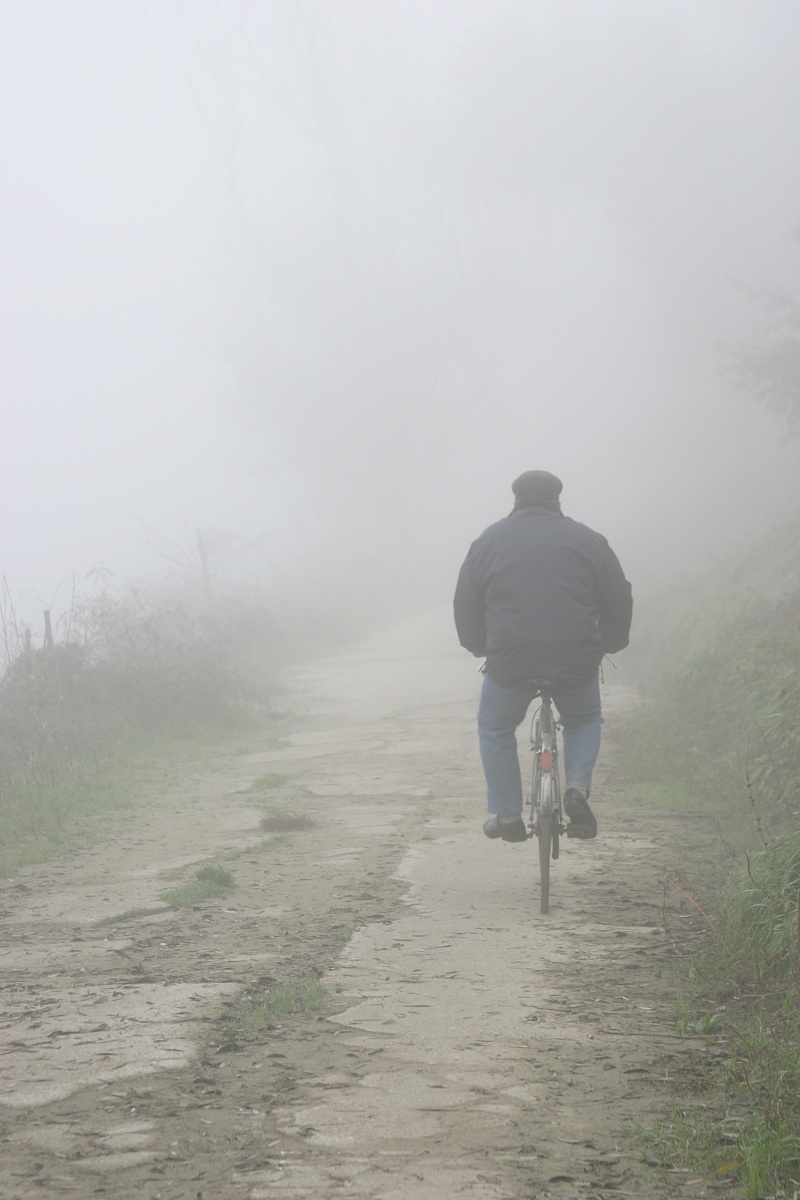 Nebbia sulle rive del Po