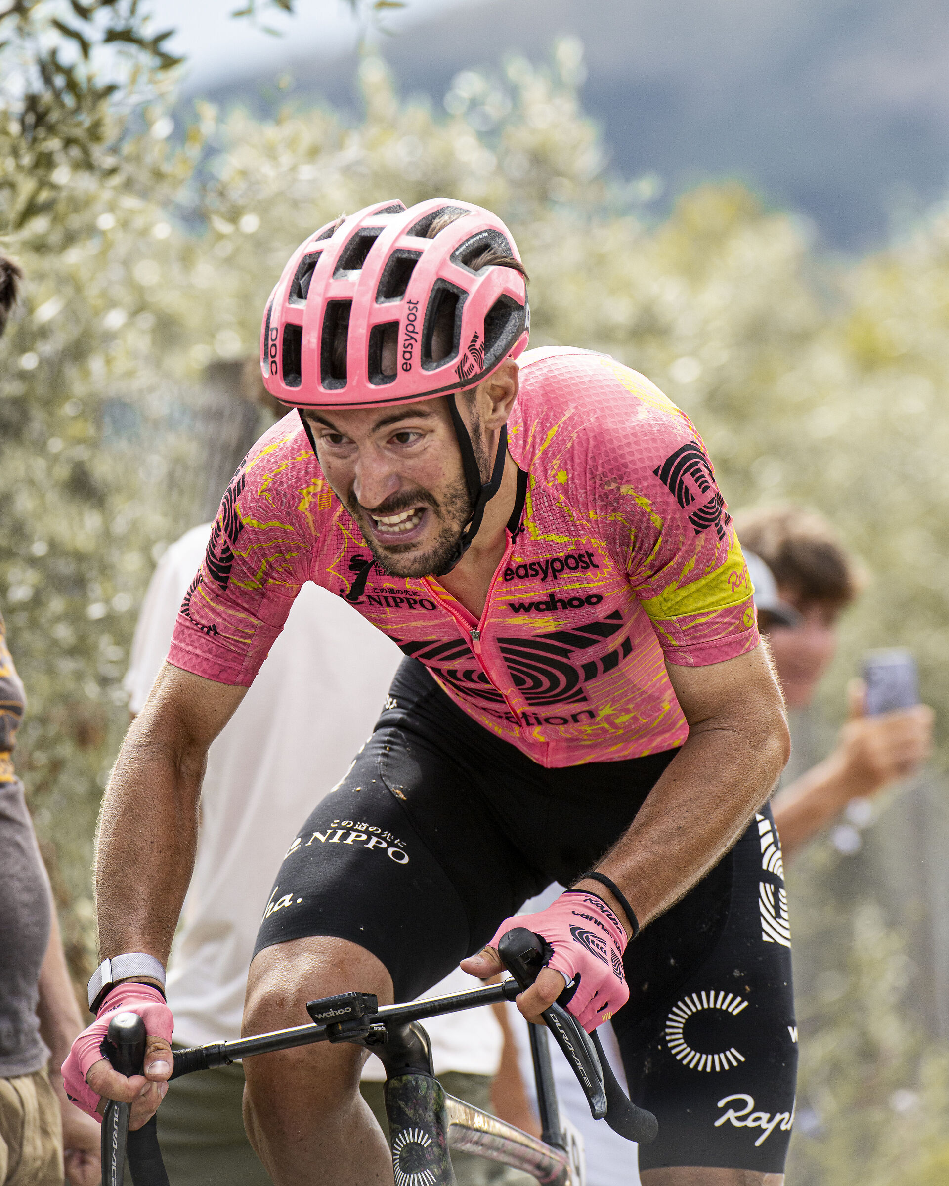 Alberto Bettiol - Campionati Italiani 2024