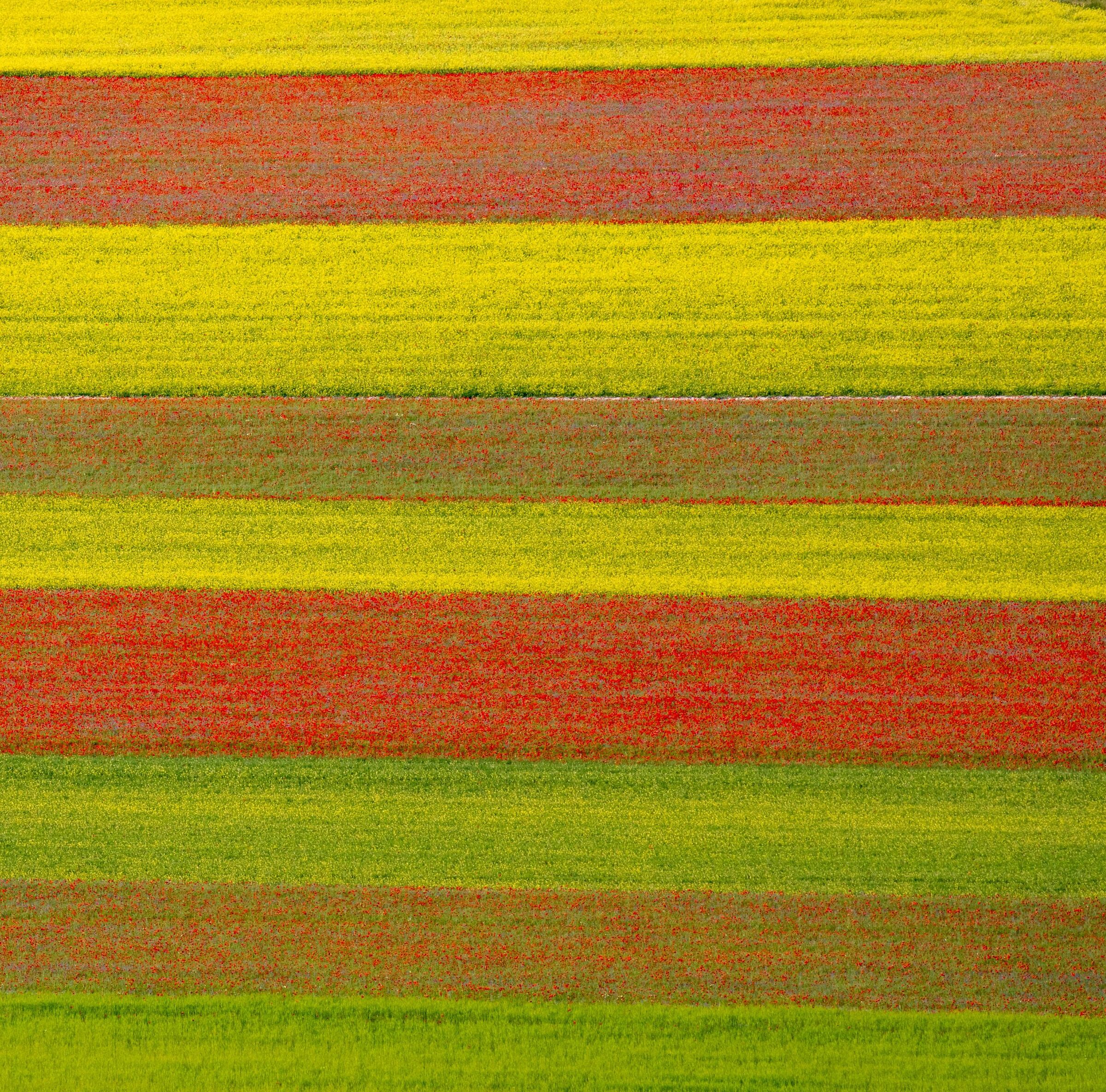 Castelluccio di Norcia