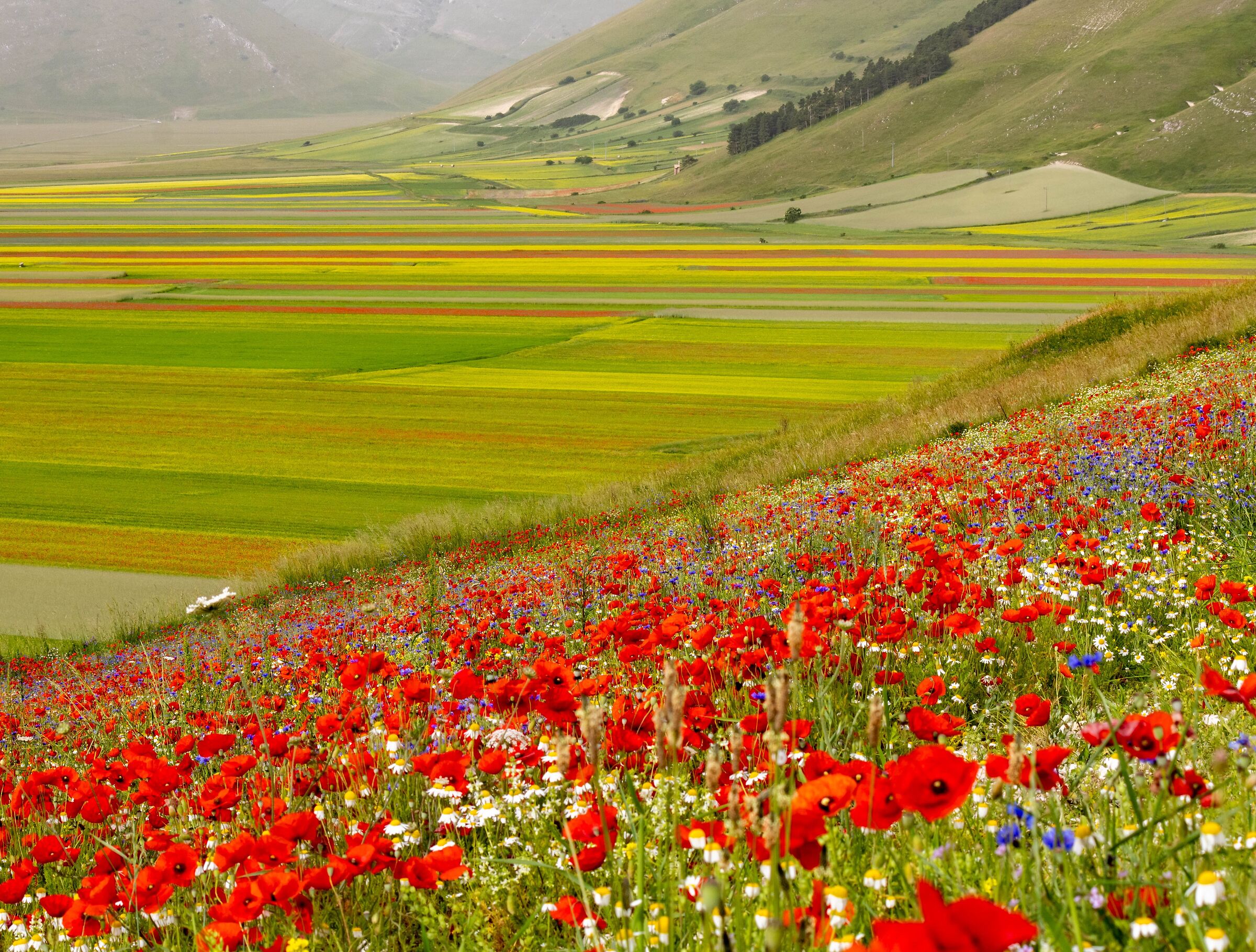 Castelluccio di Norcia