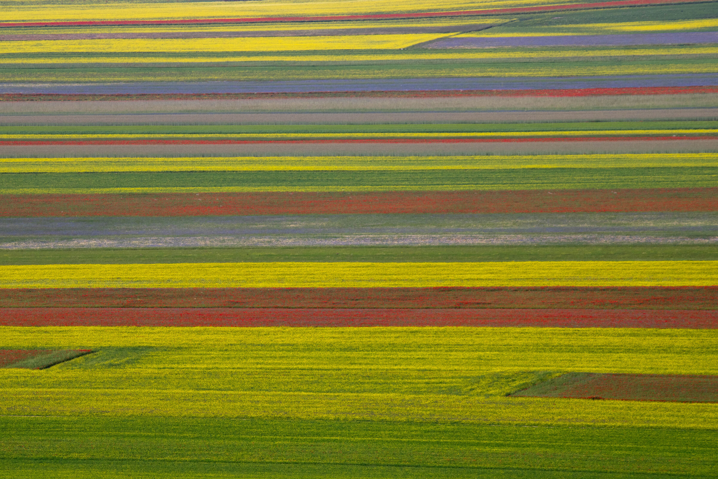 Castelluccio di Norcia