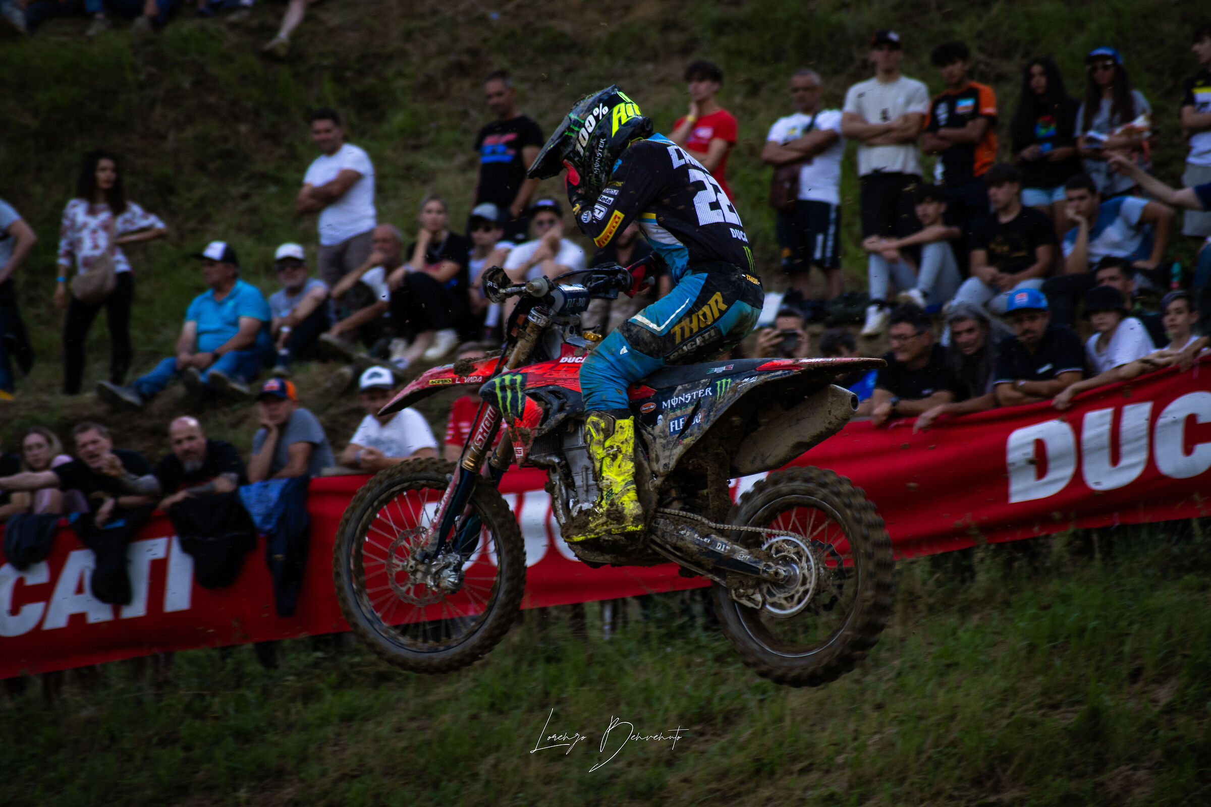 Tony Cairoli Prestige