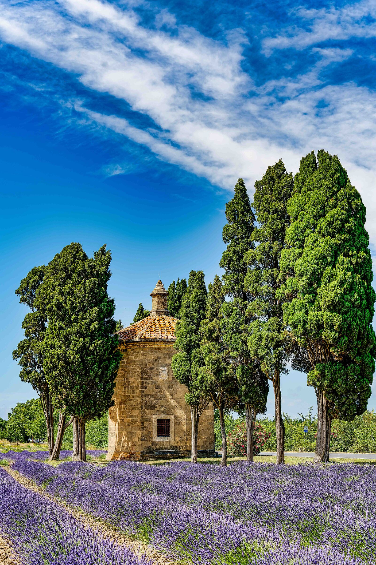 San Guido Bolgheri Giugno 2024