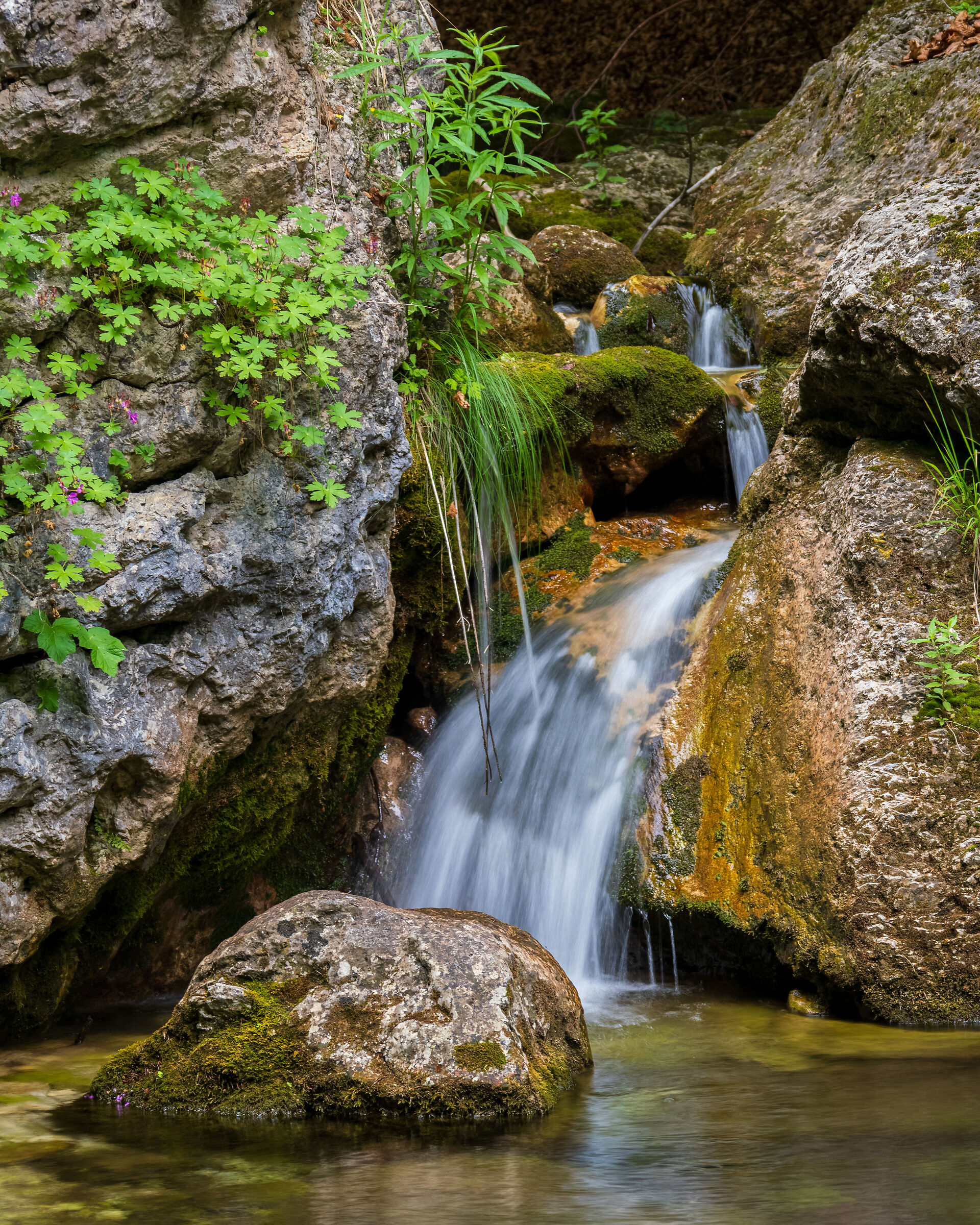 Cascate di Valle di Canneto, Settefrati
