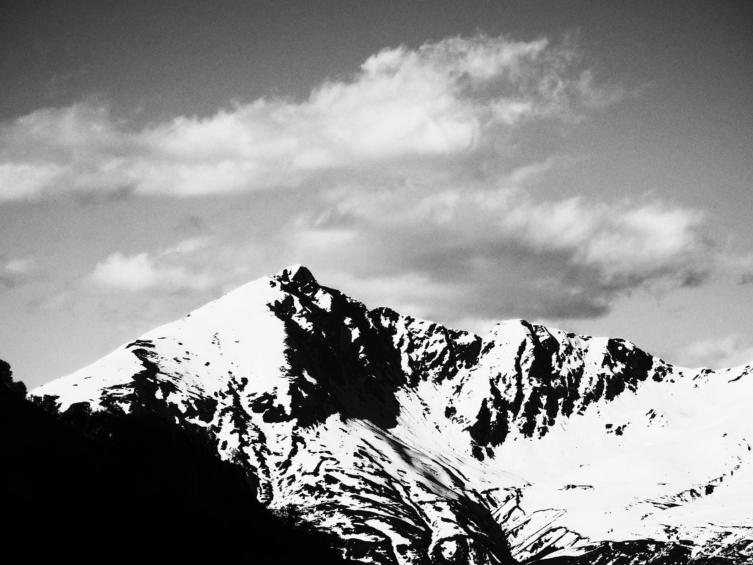 Gino's lace in two-tone