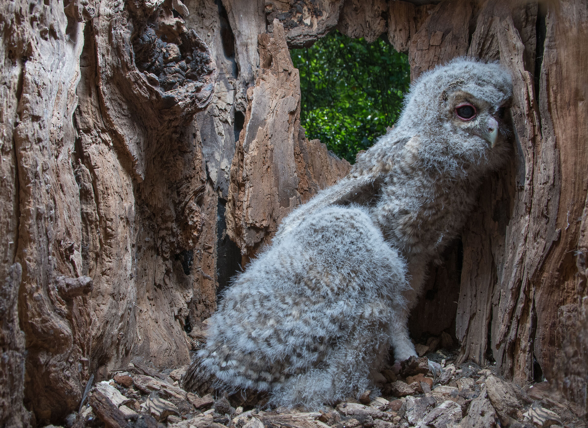 Listen, I can hear the neigbours