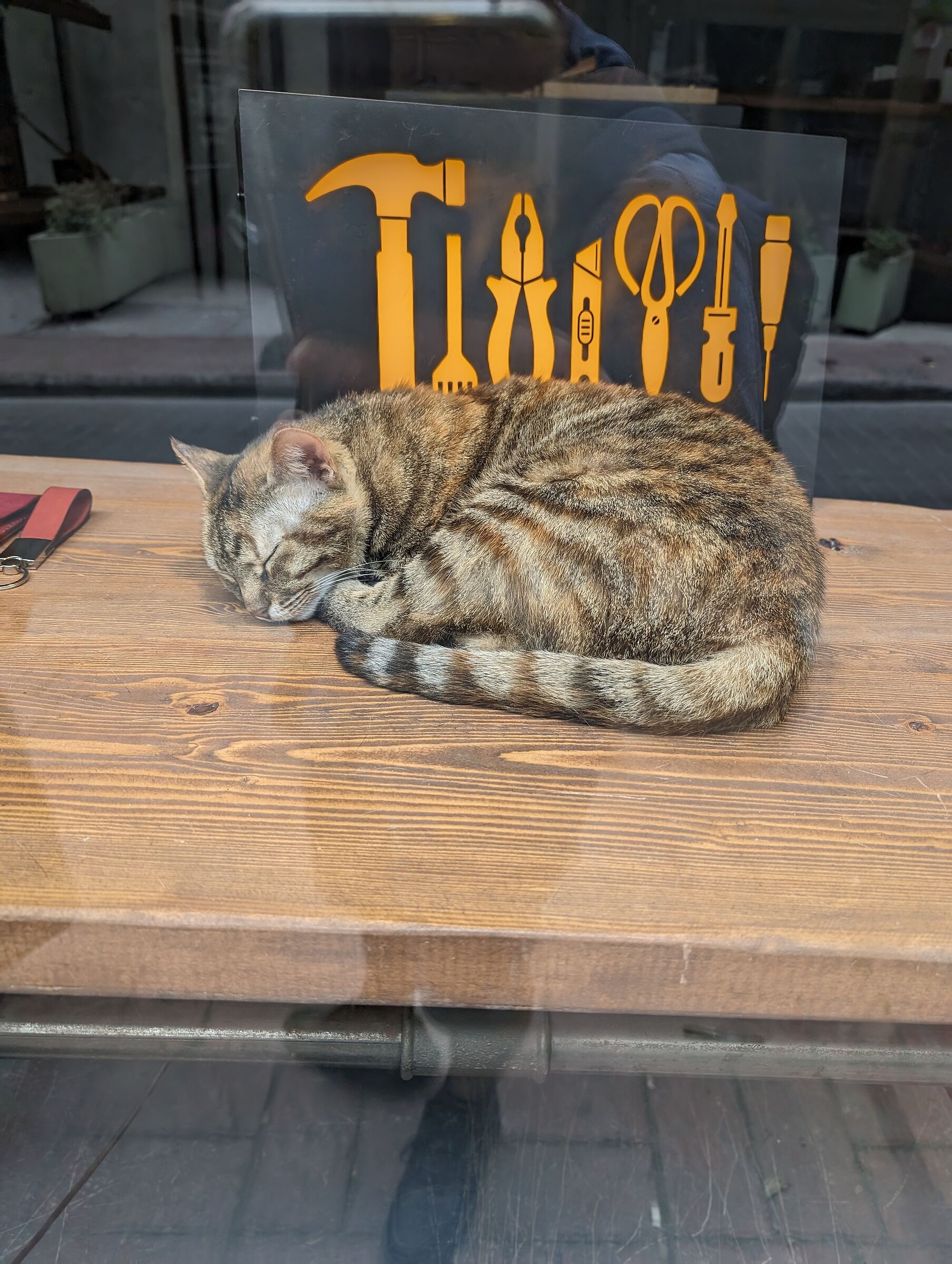 Well-deserved rest