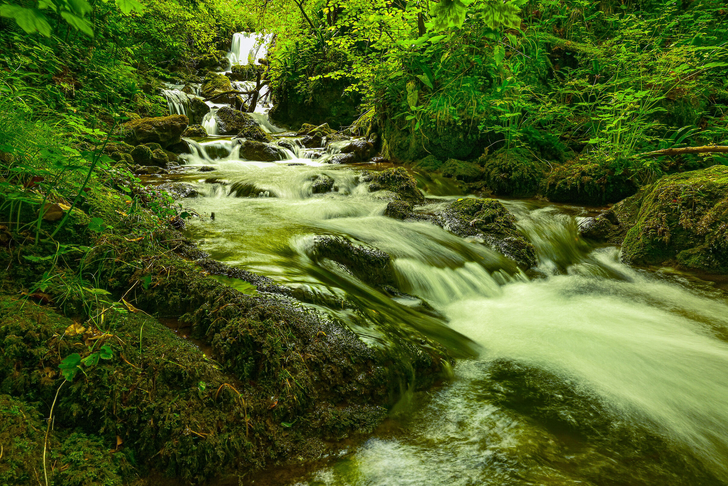 wild stream waterfall