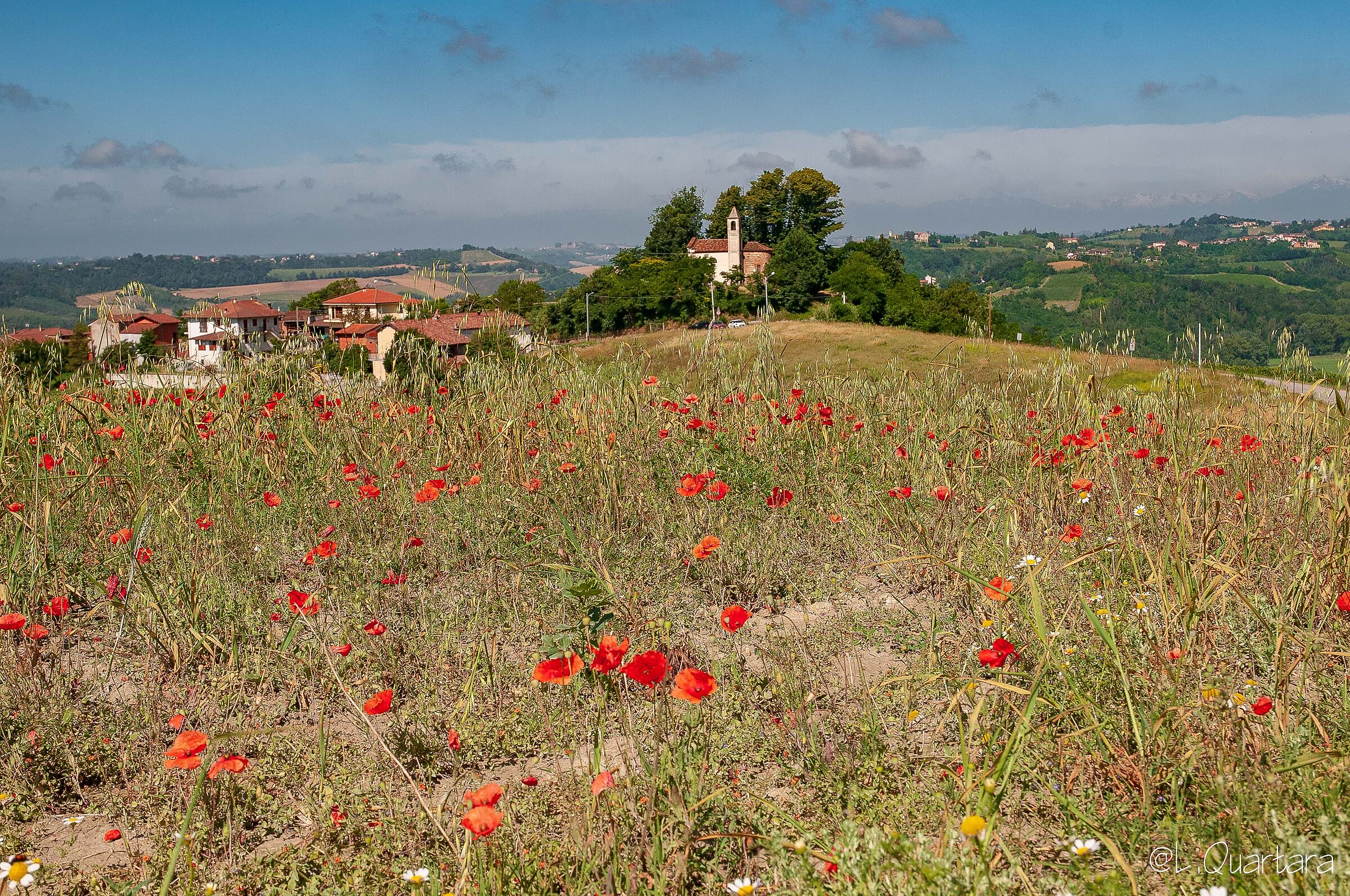 Cuccaro Monferrato chiesa della Madonna della Neve