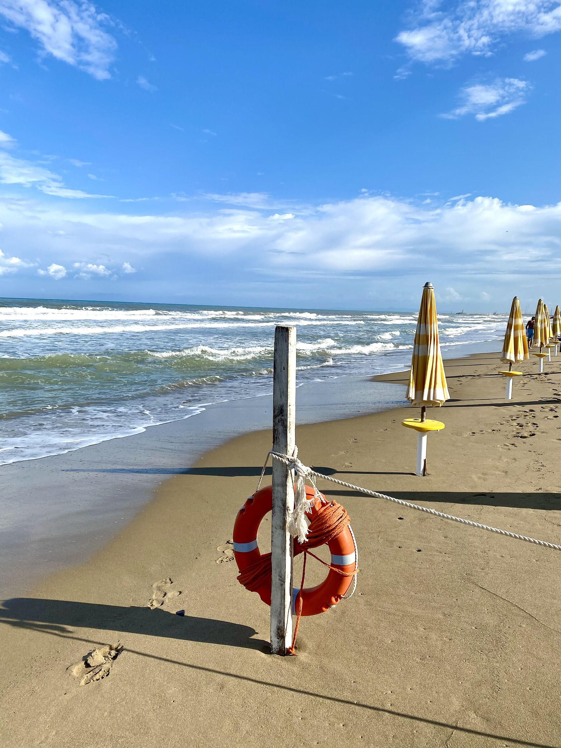 Giallo, rosso e blu.