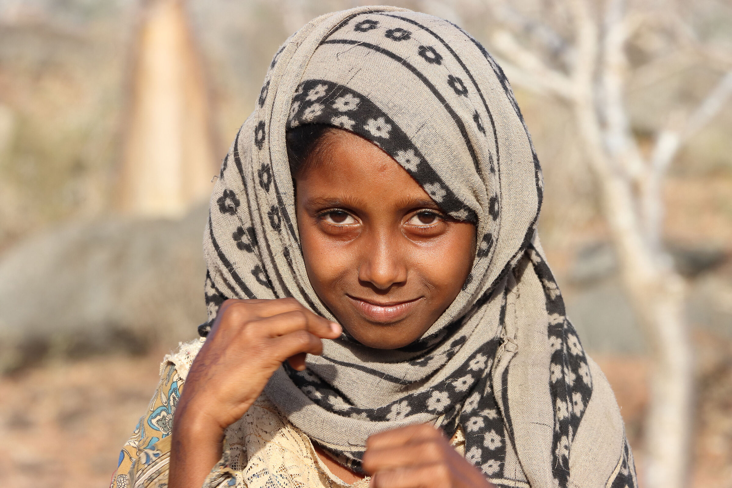 S O C O T R A - shyness -