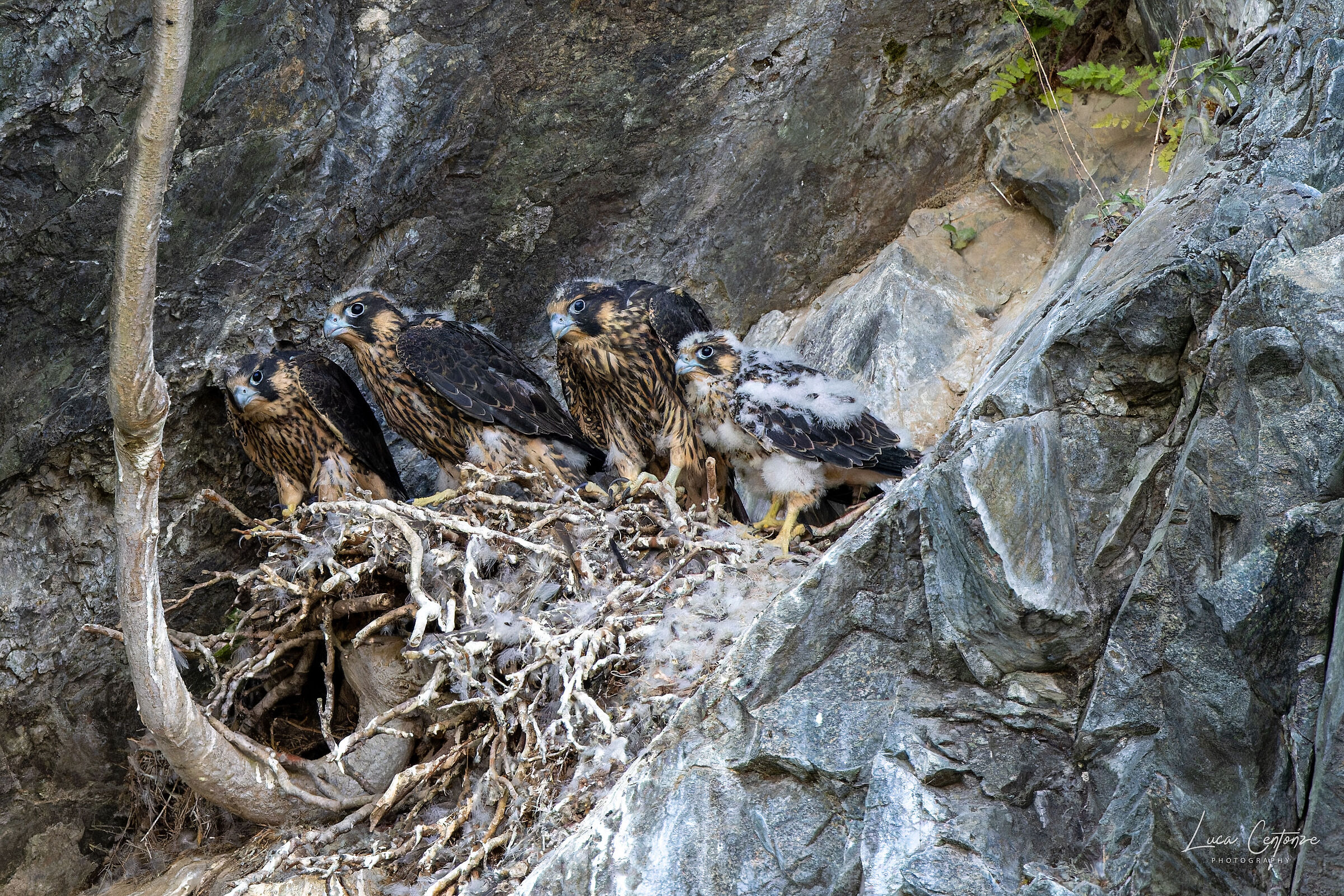 You grow up, wow if you grow up....