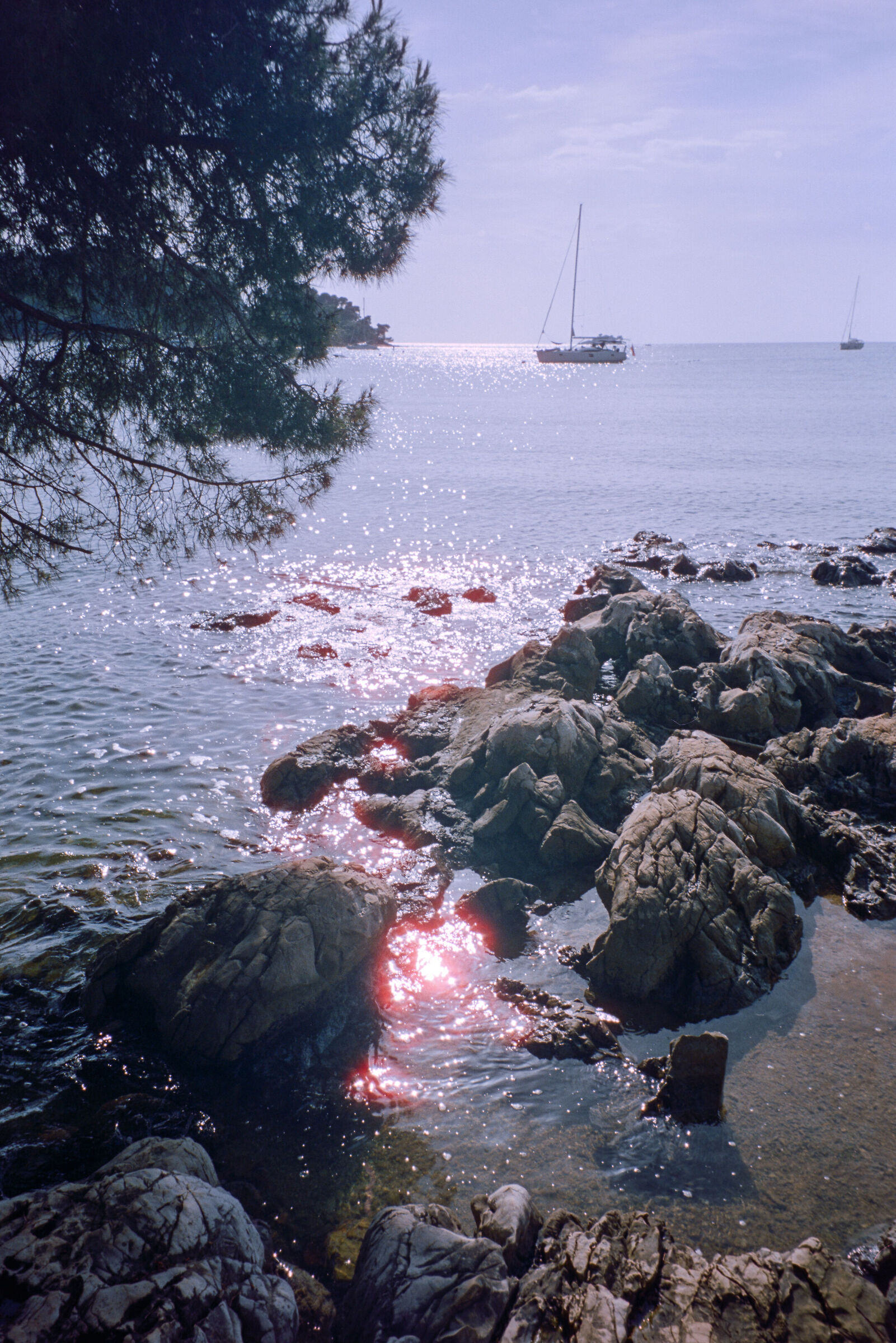Untitled Photo