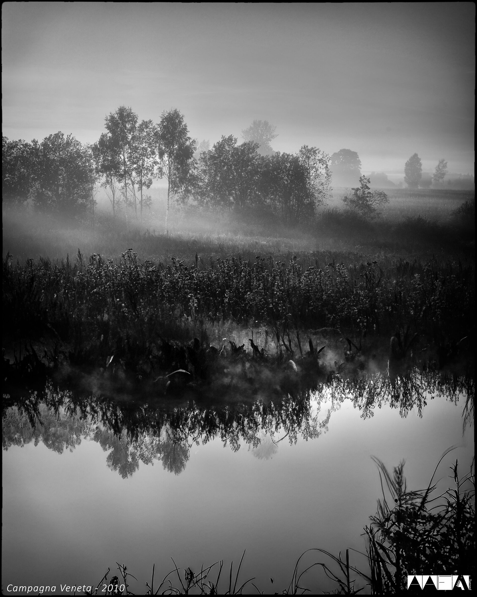 Campagna Veneta - 2010